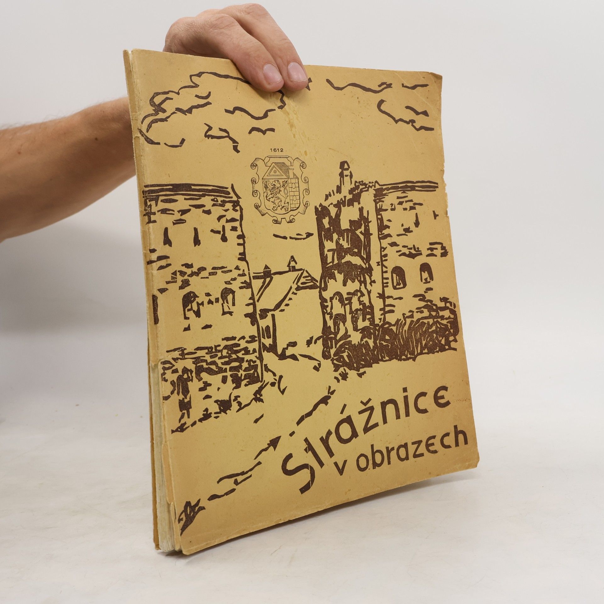 kolektiv Strážnice v obrazech