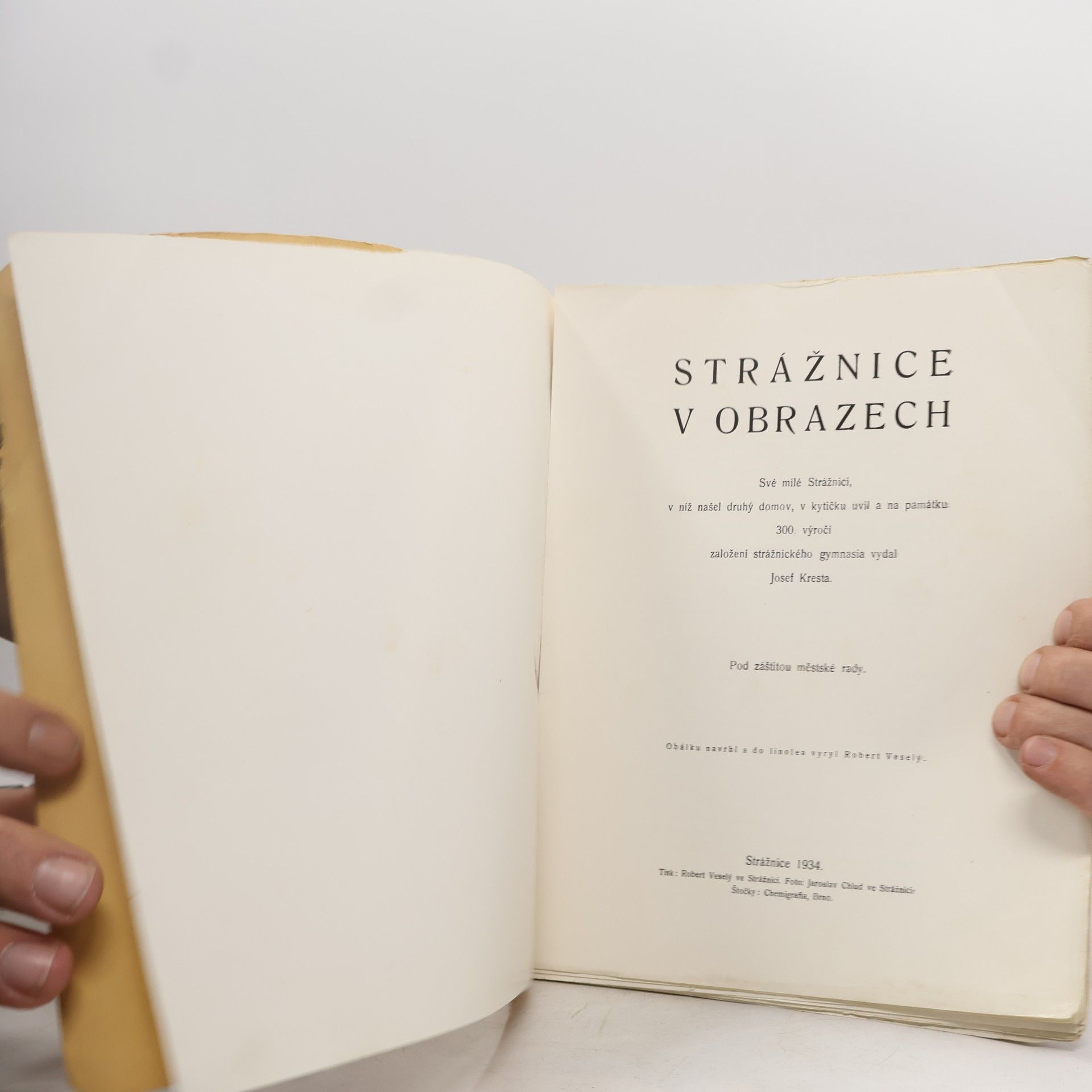 kolektiv Strážnice v obrazech