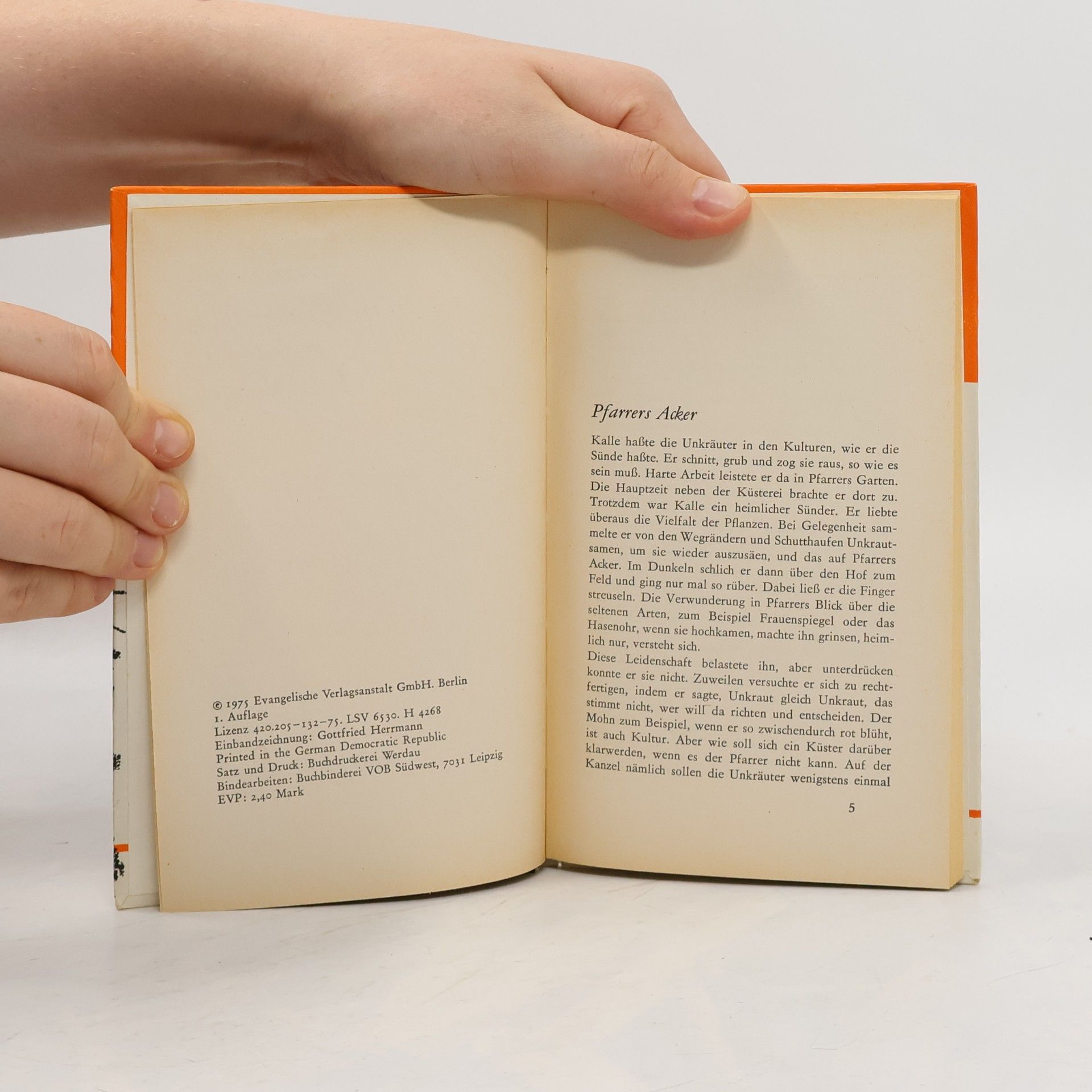 Horst Baubkus Der Friedensstock