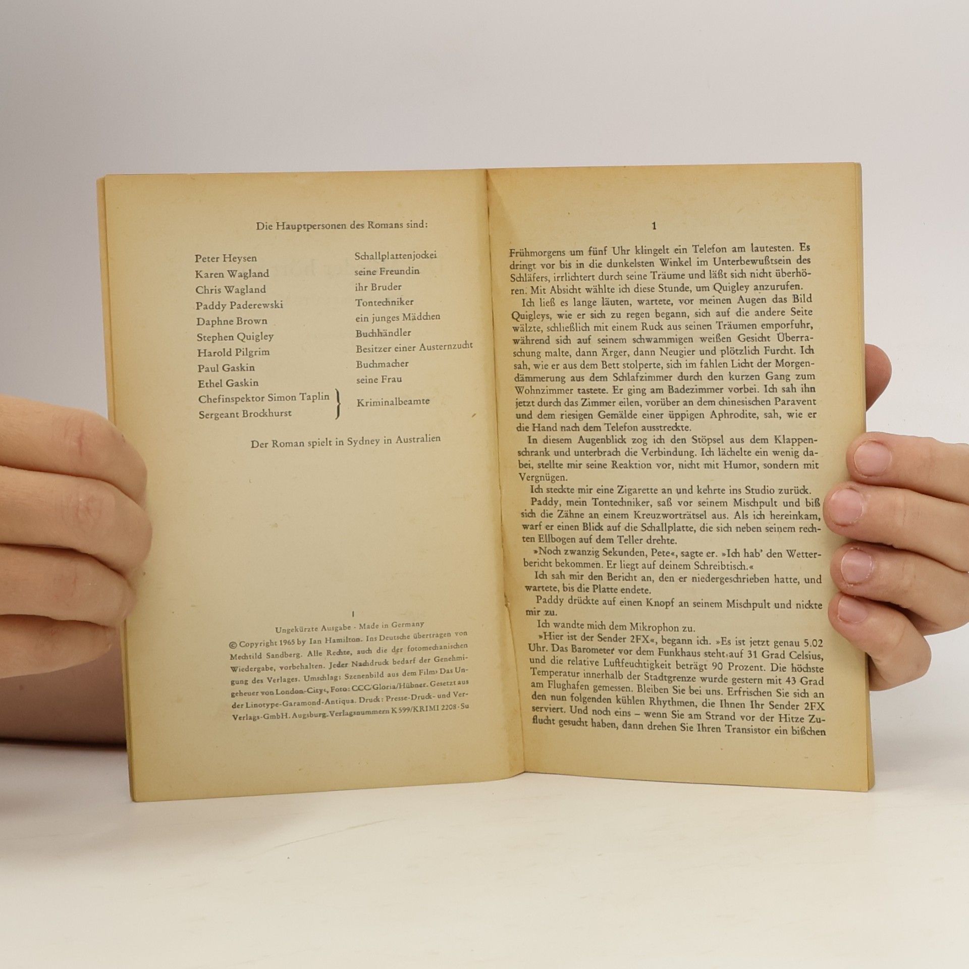 Ian Hamilton Der Mörder hört zu