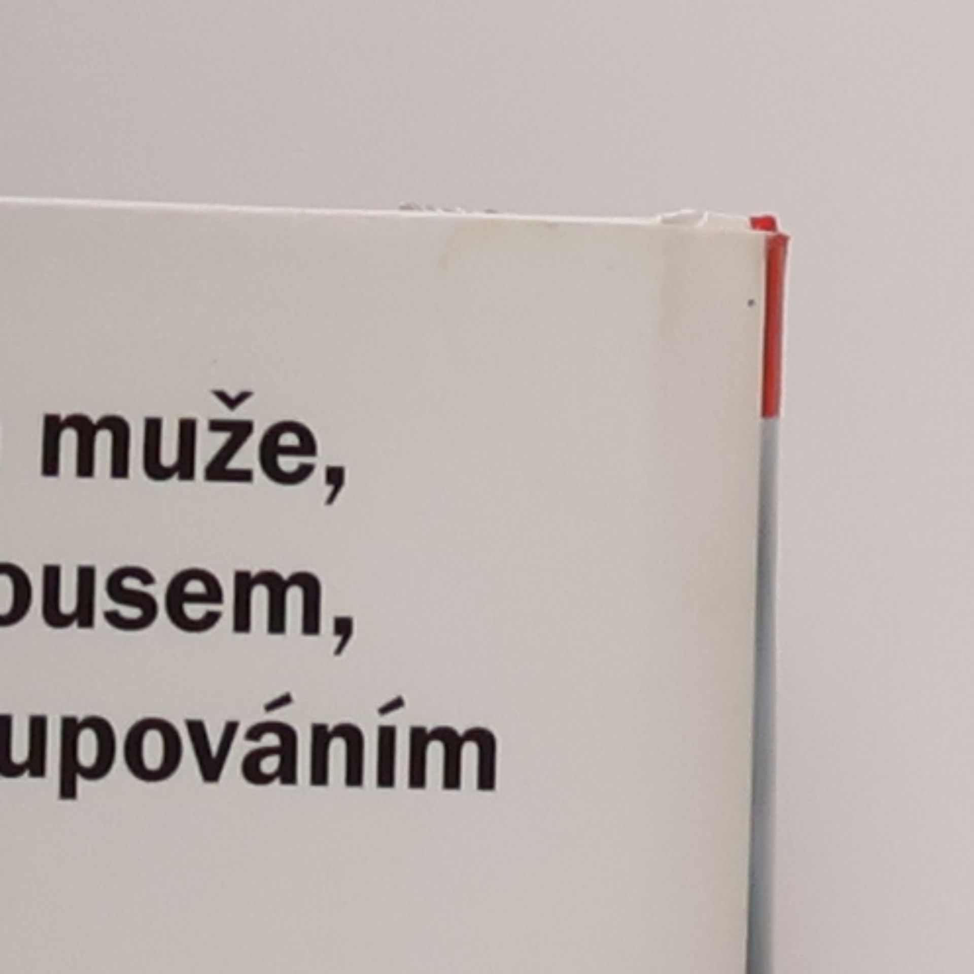 Richard Branson Virgin: hledání sebe sama. Nová autobiografie