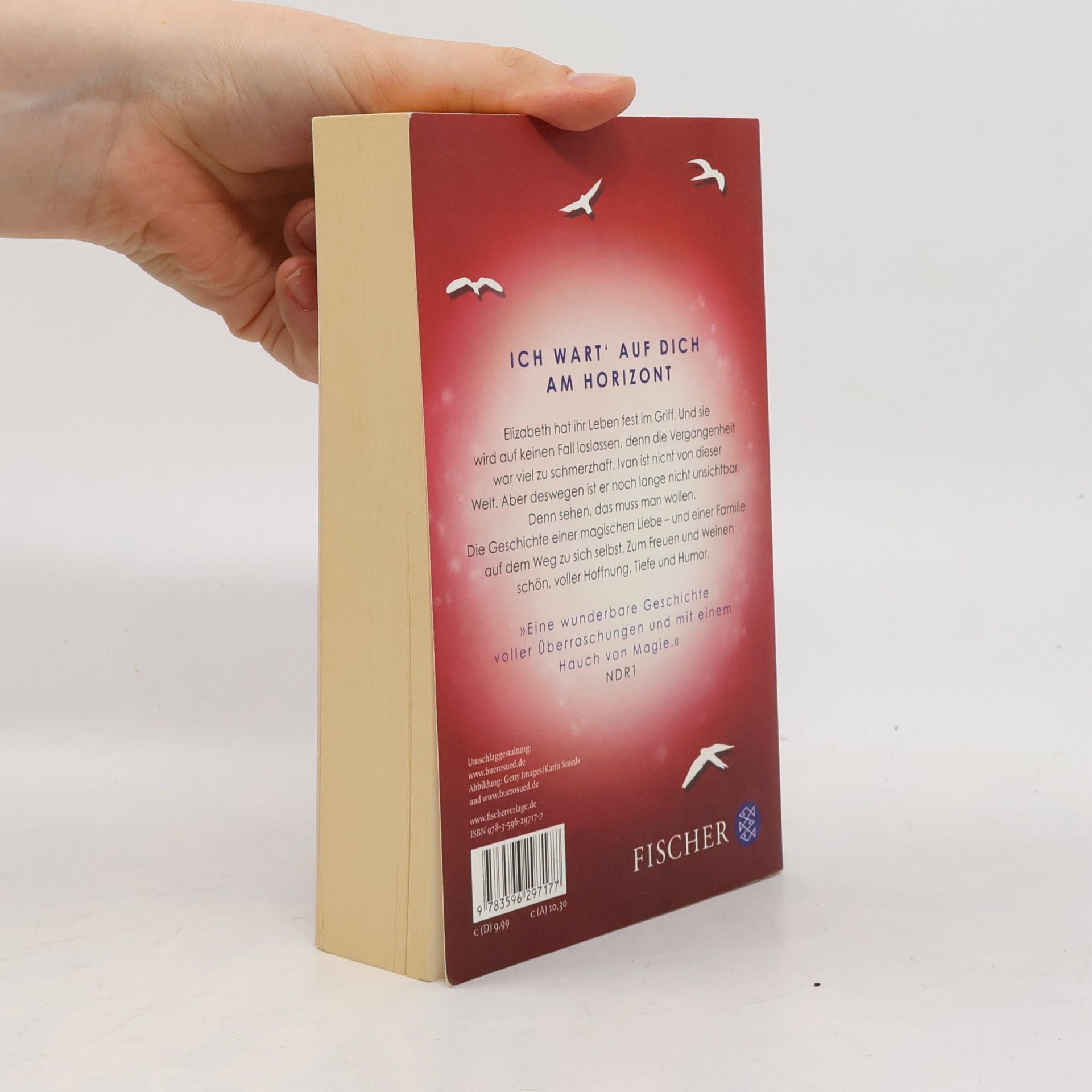 Cecelia Ahern Zwischen Himmel und Liebe