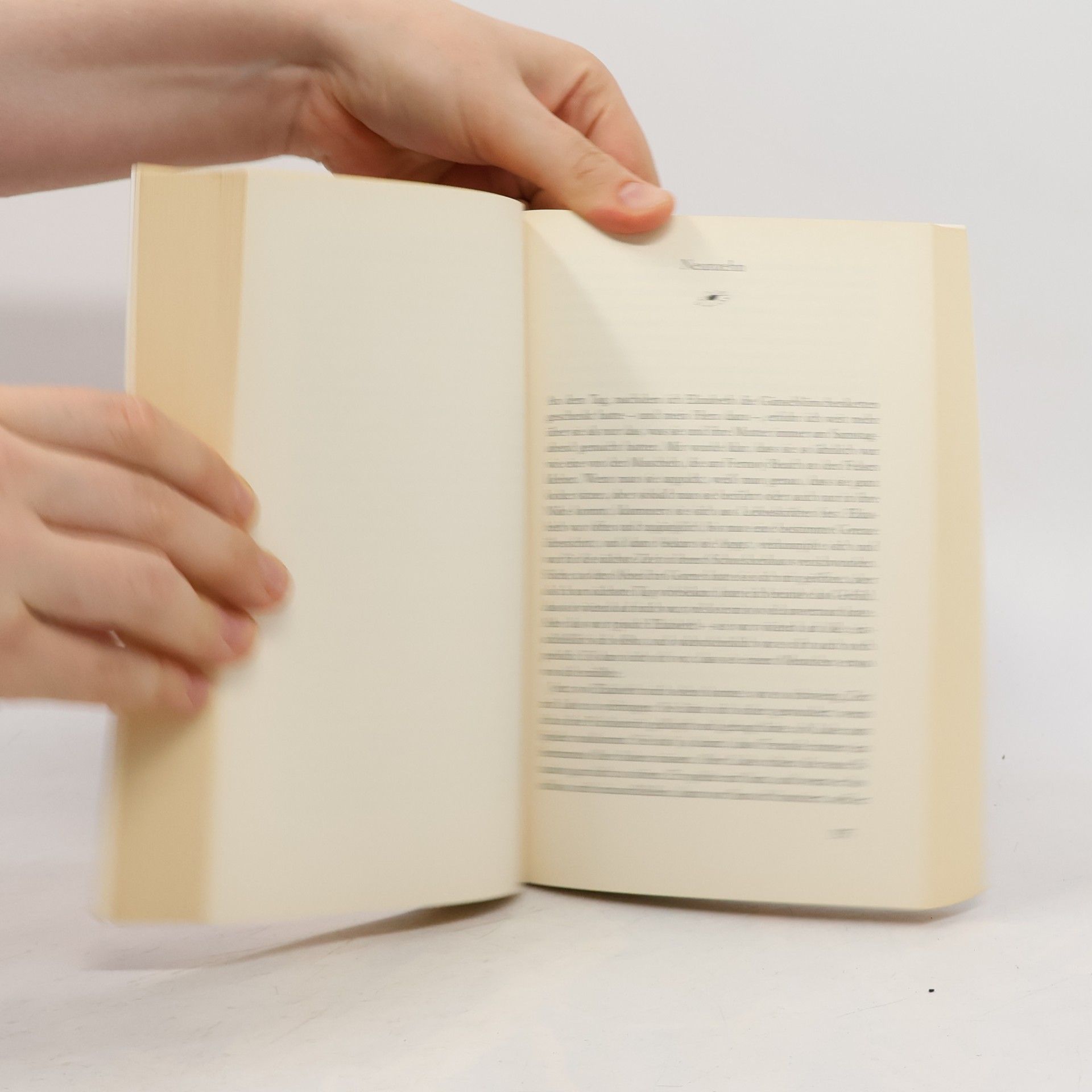 Cecelia Ahern Zwischen Himmel und Liebe