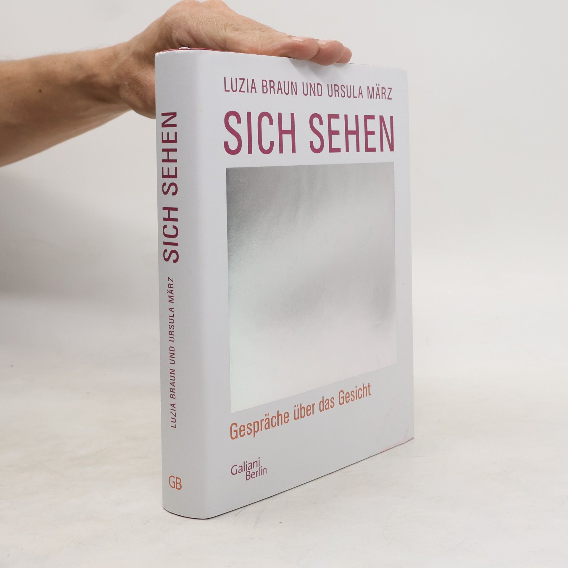 Luzia Braun Sich sehen. Gespräche über das Gesicht