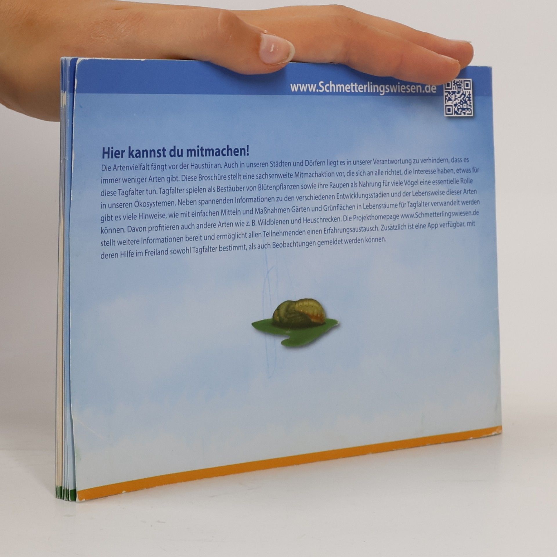 kolektiv Blühende Wiesen für Sachsens Schmetterlinge