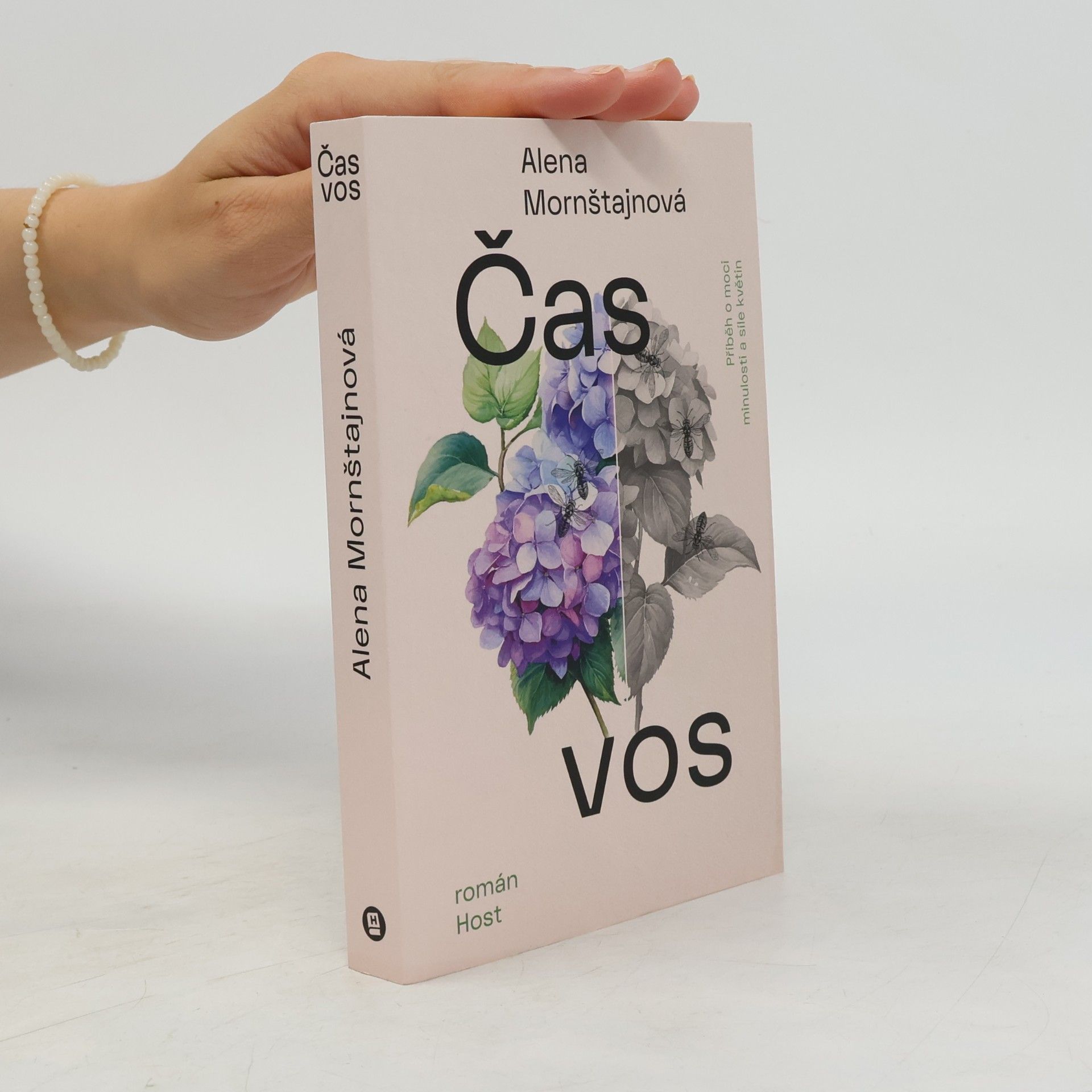 Alena Mornštajnová Čas vos