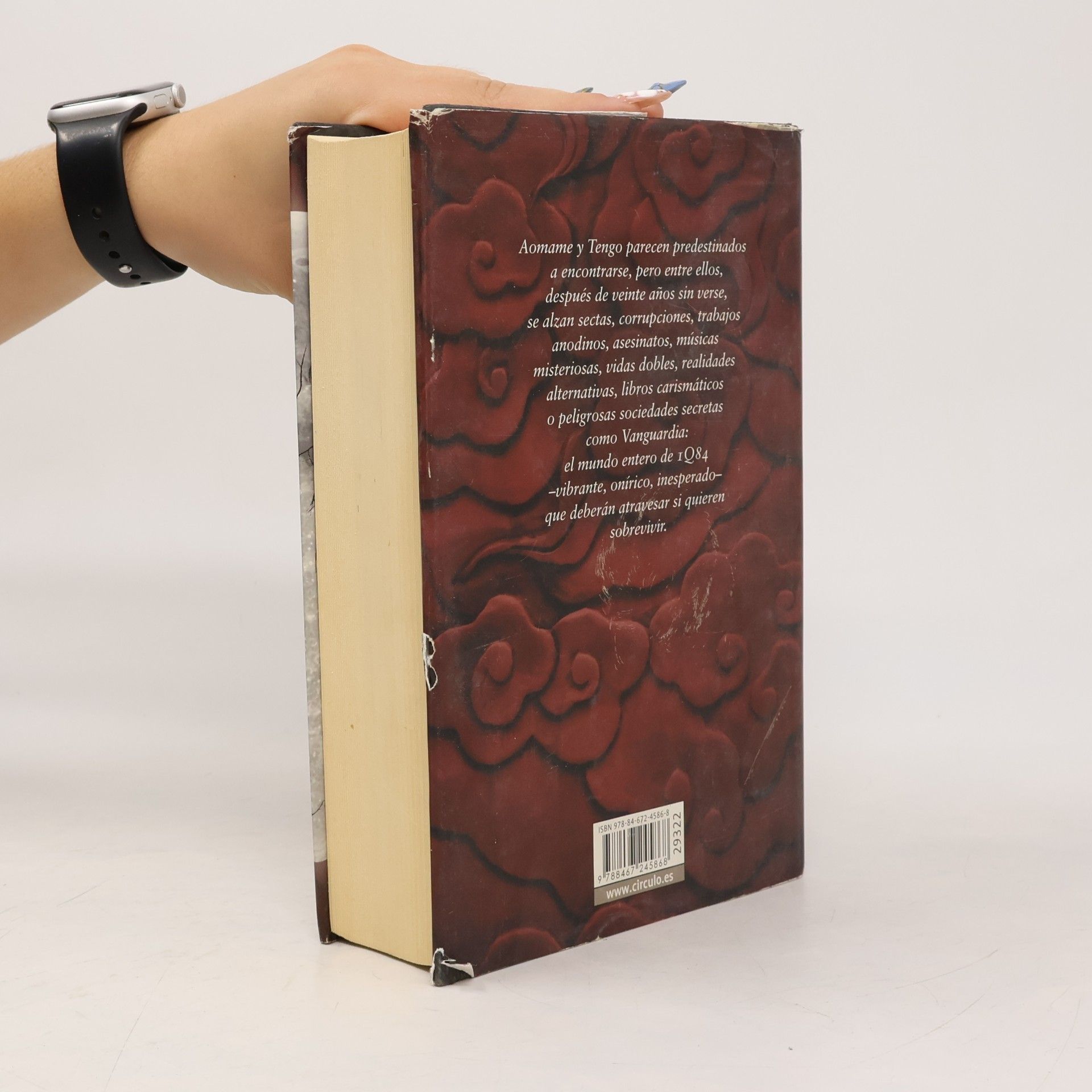 Haruki Murakami 1Q84. Libros 1 y 2