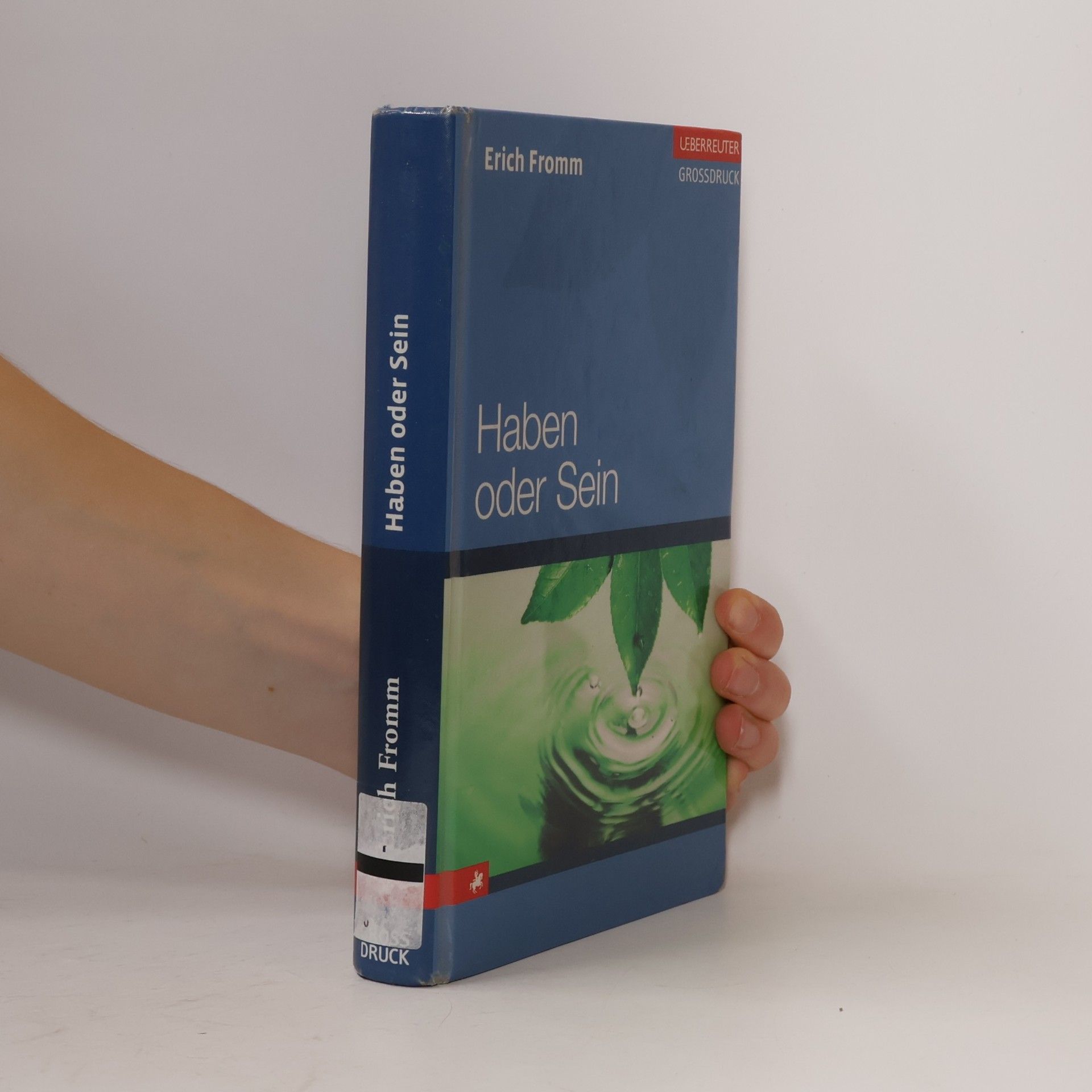 Erich Fromm Haben oder Sein
