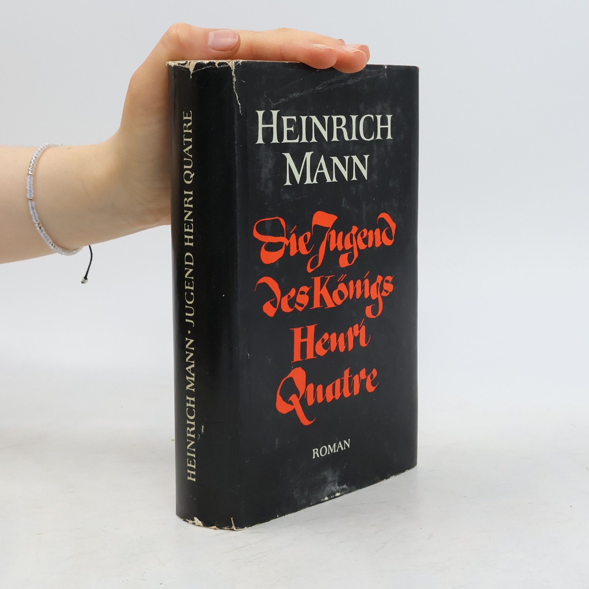Heinrich Mann Die Jugend des Königs Henri Quatre