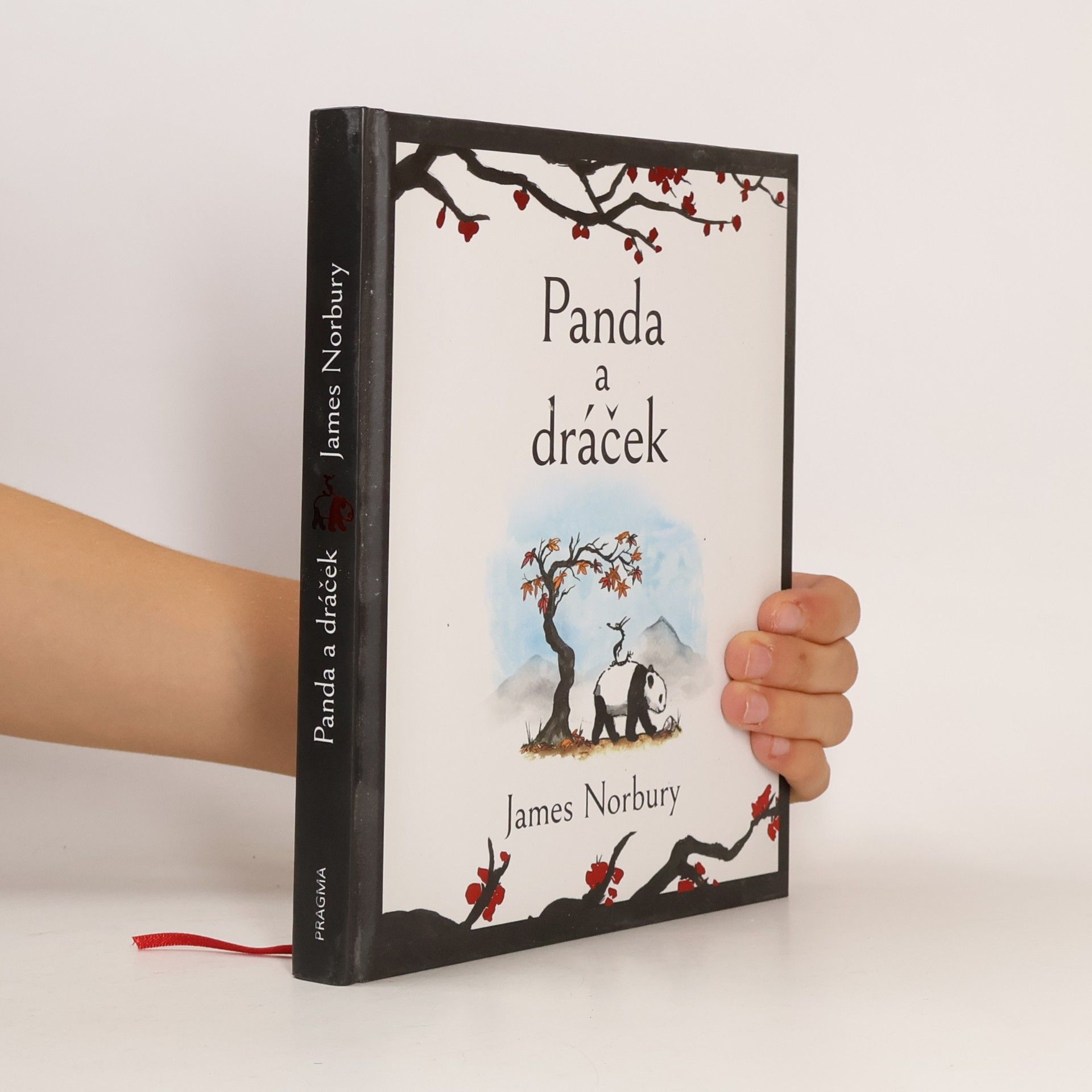 James Norbury Panda a dráček