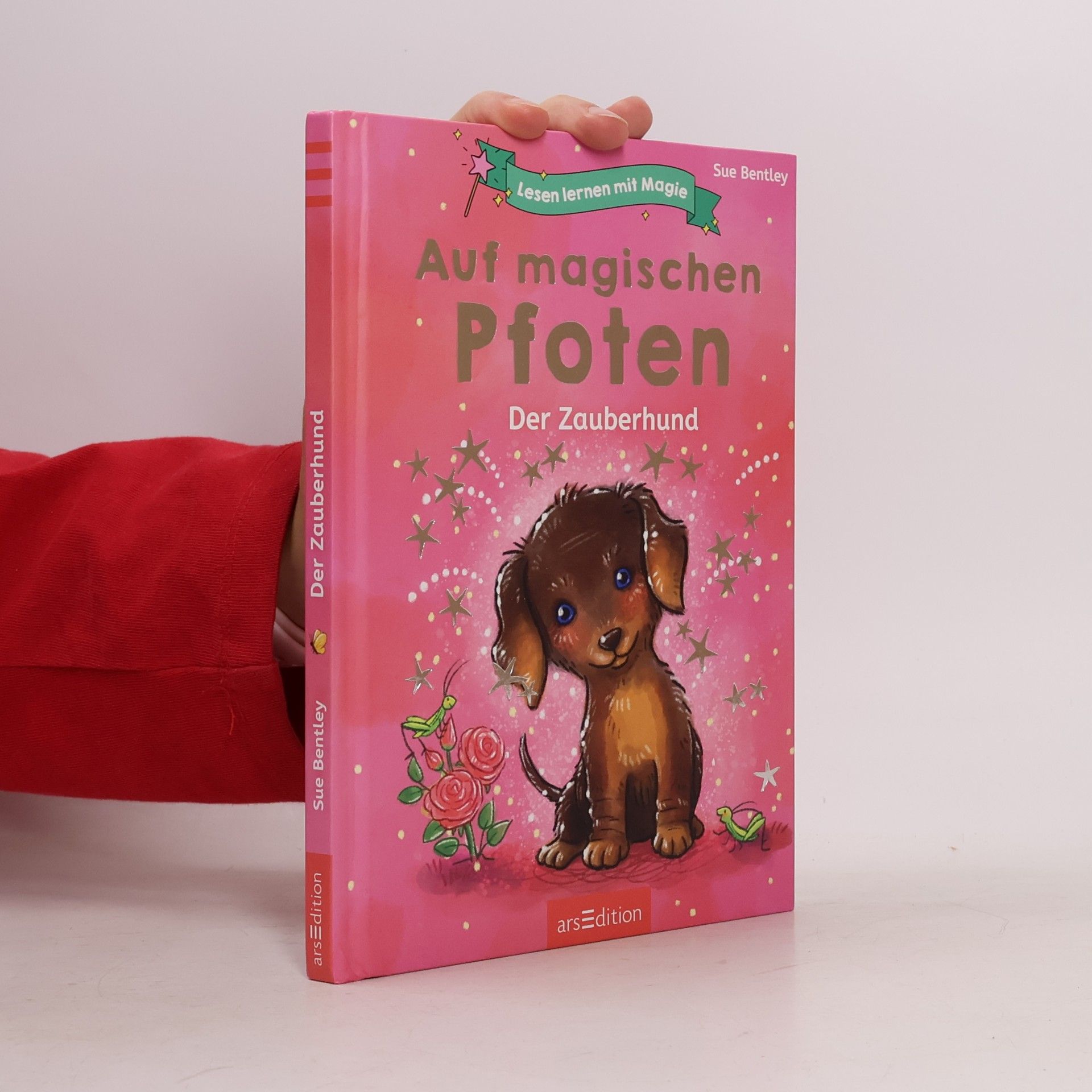 Lesen lernen mit Magie: Auf magischen Pfoten
