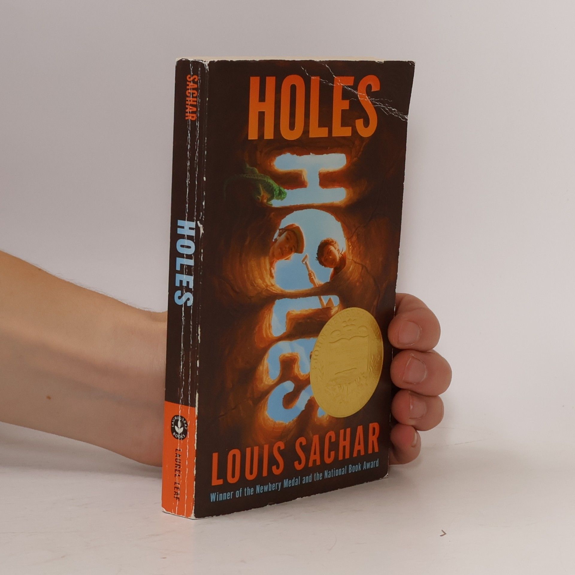 Louis Sachar Holes