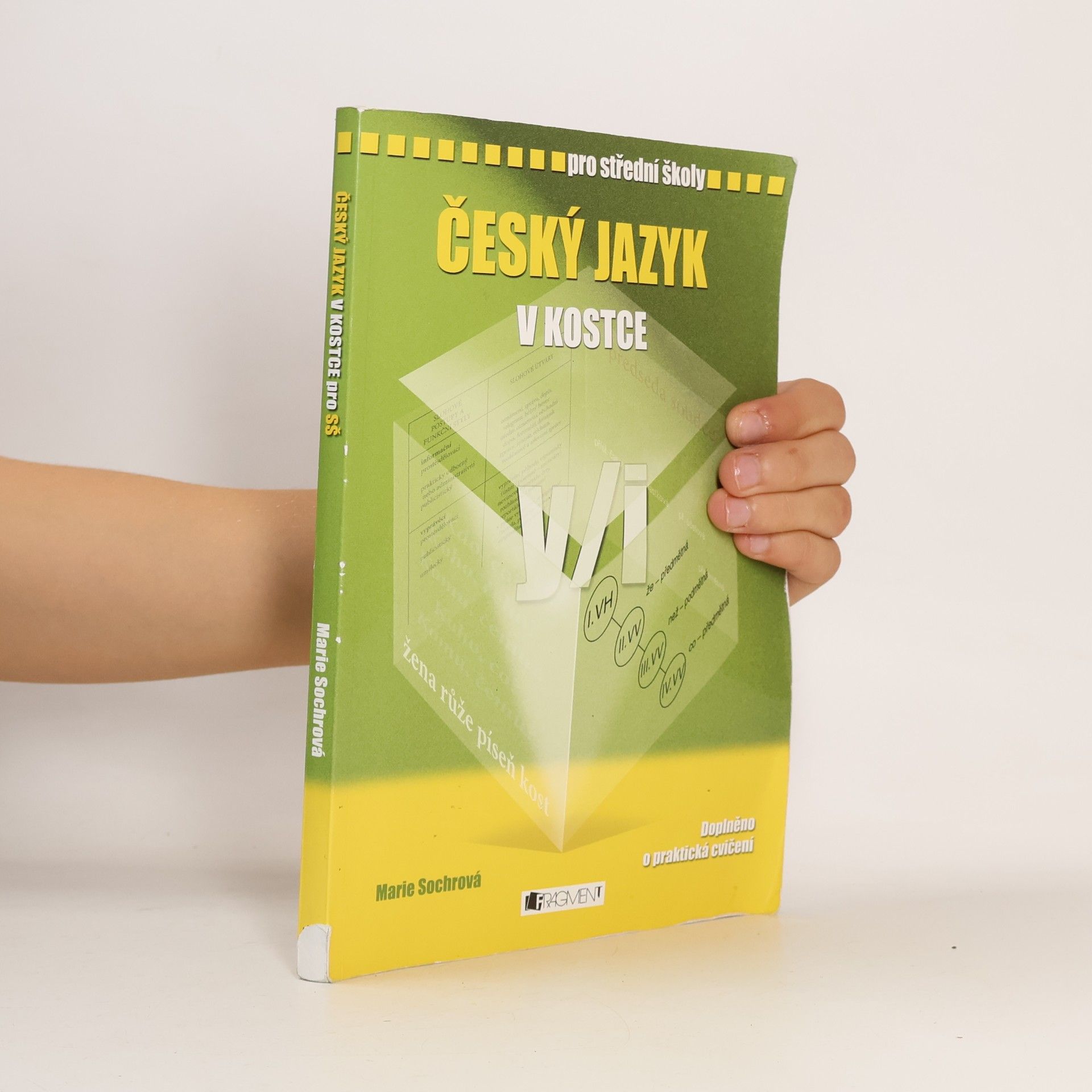 Marie Sochrová Český jazyk v kostce : pro střední školy