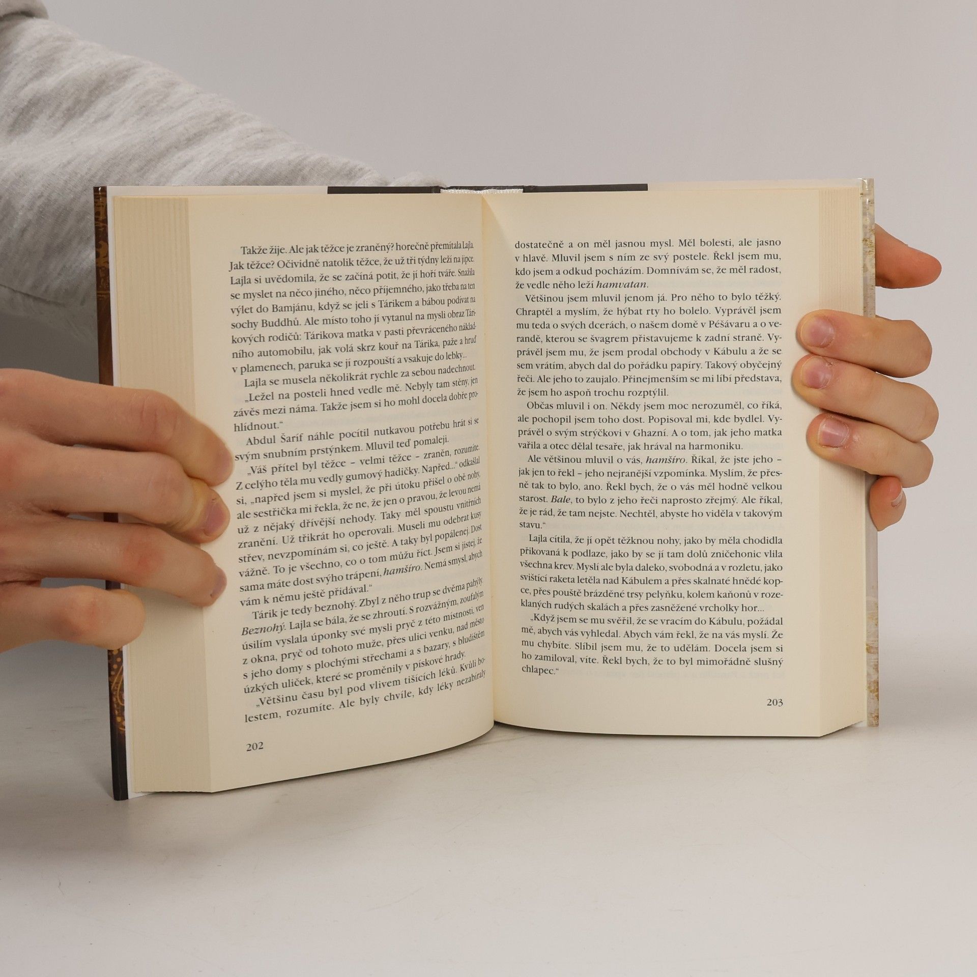 Khaled Hosseini Tisíce planoucích sluncí