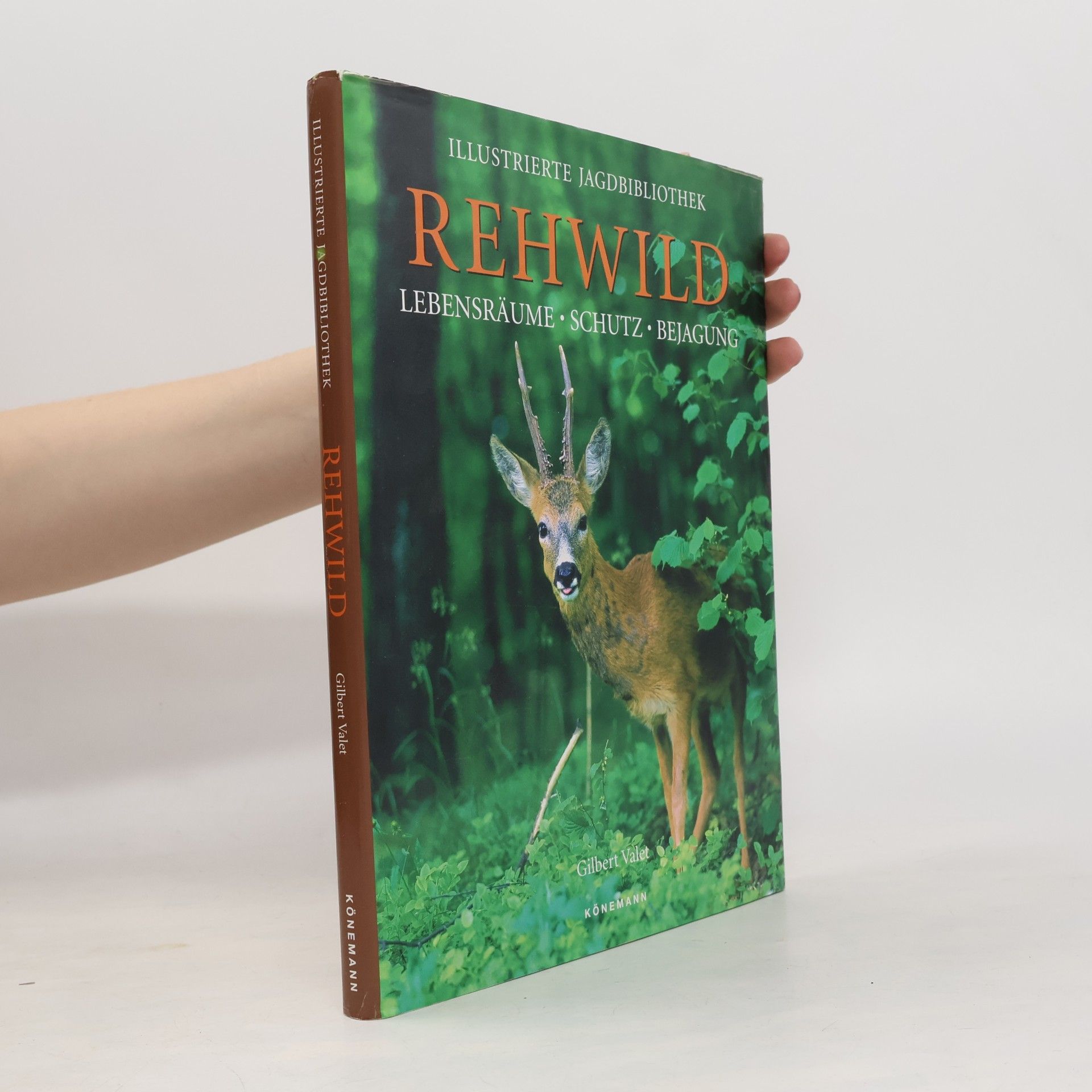 Gilbert Valet Rehwild