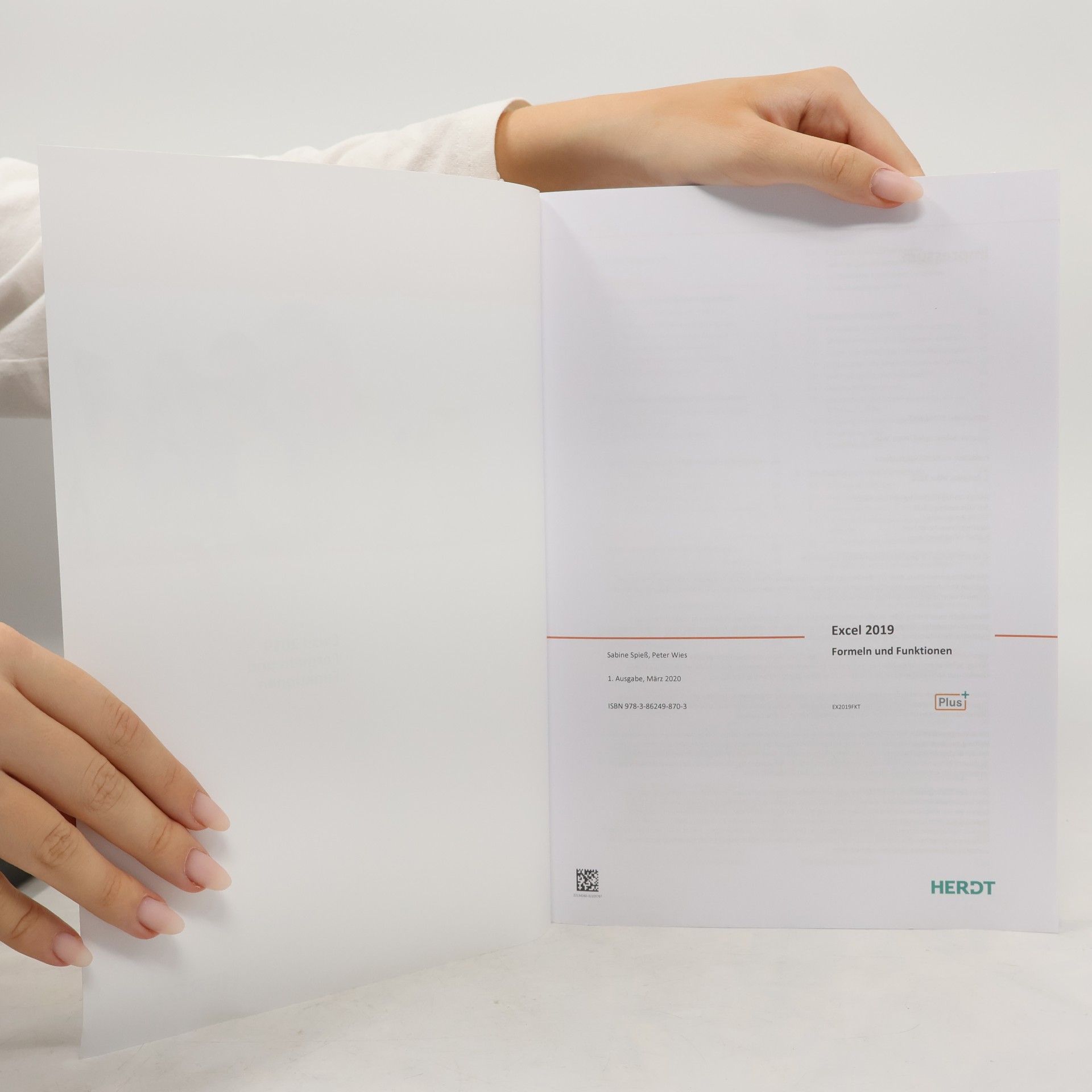 Sabine Spieß Excel 2019 Formeln und Funktionen