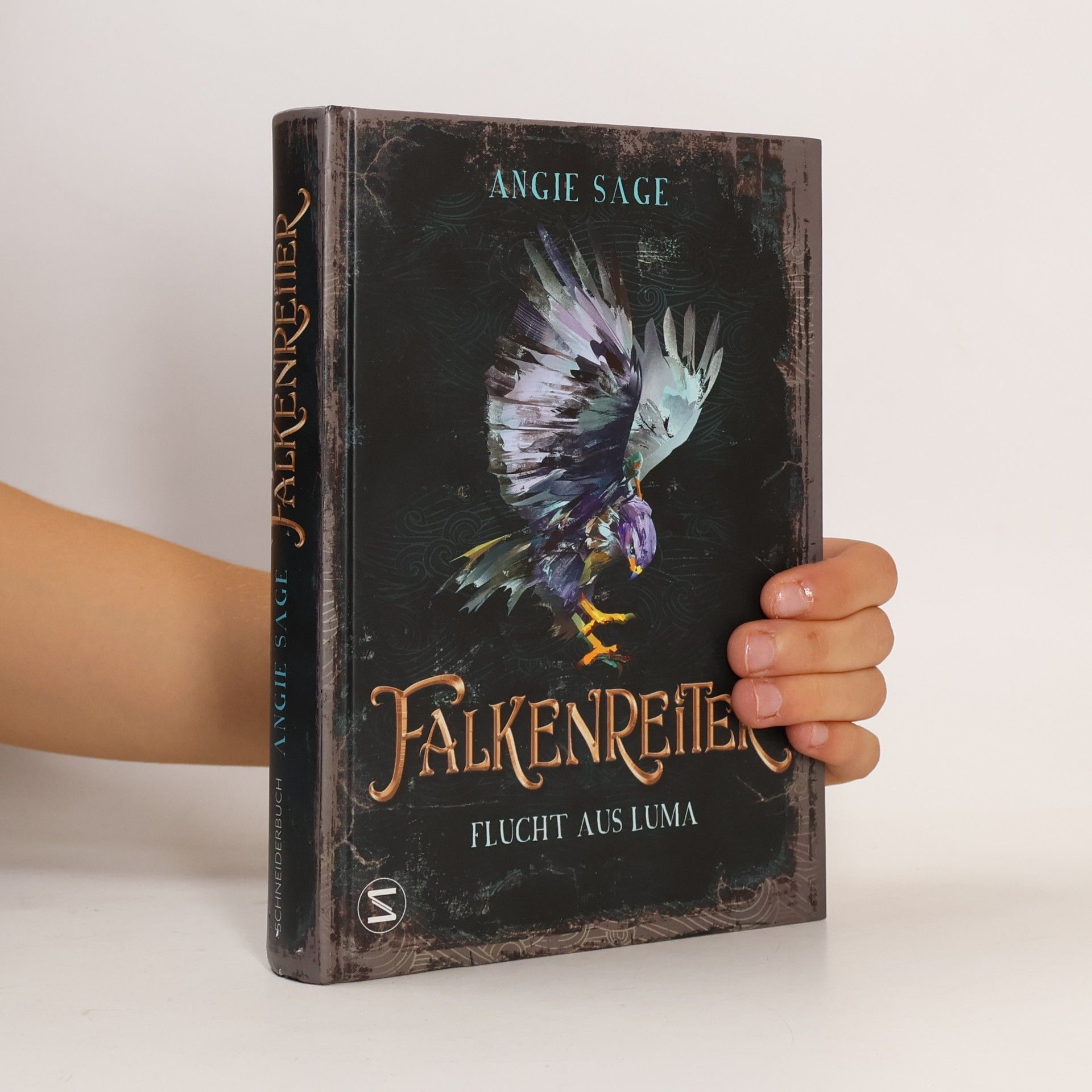 Angie Sage Falkenreiter - Flucht aus Luma