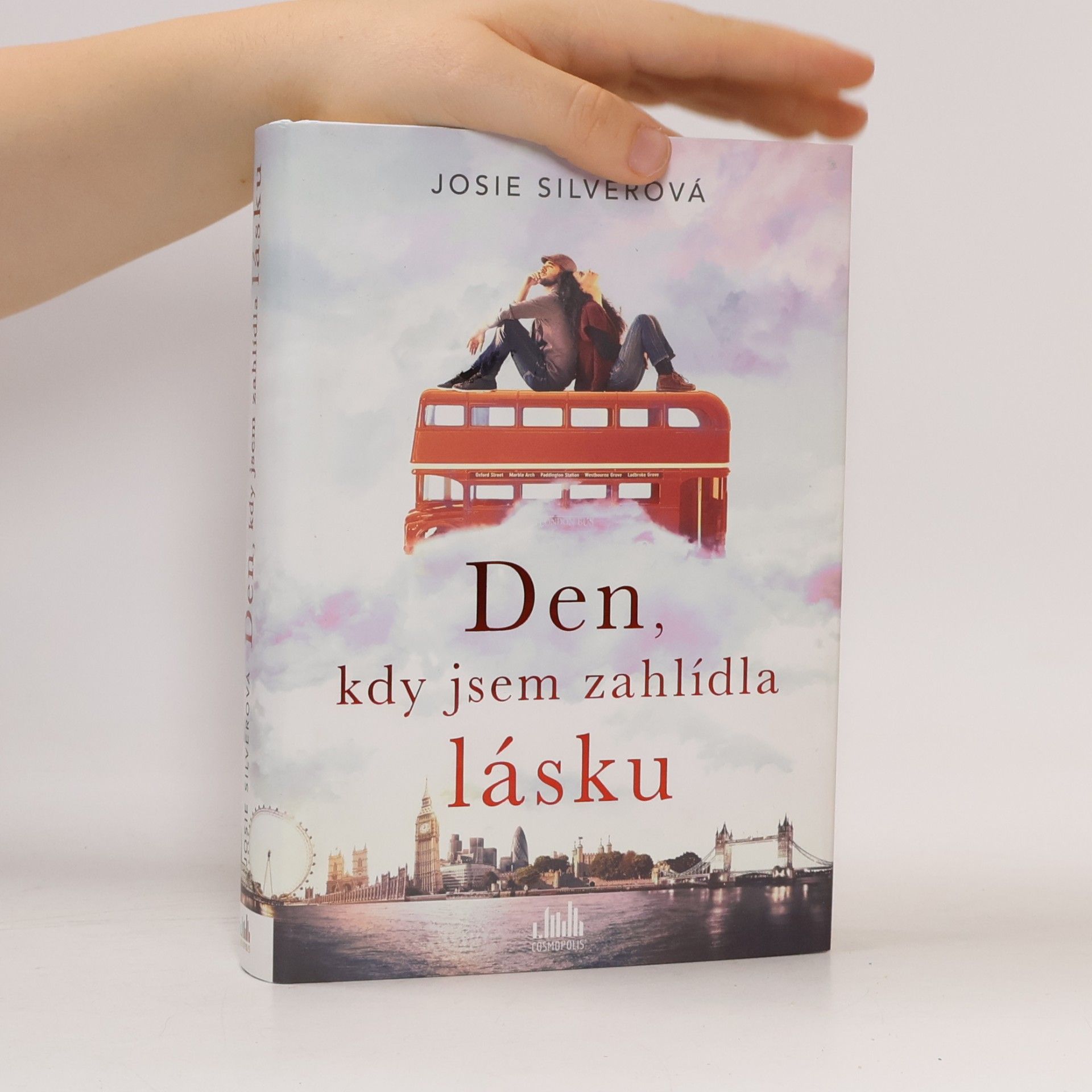 Josie Silver Den, kdy jsem zahlídla lásku