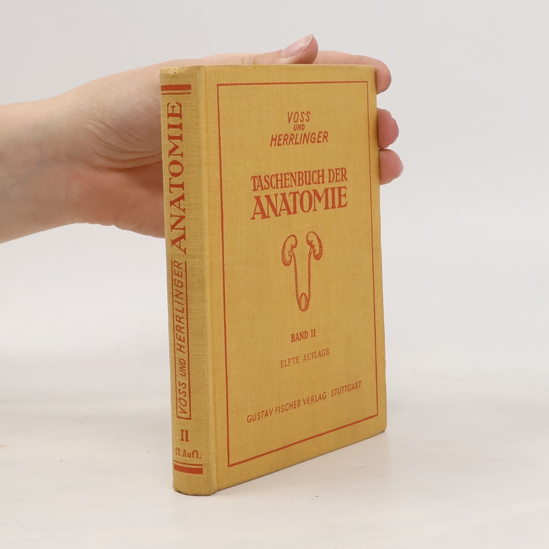 Hermann Voss Taschenbuch der Anatomie III