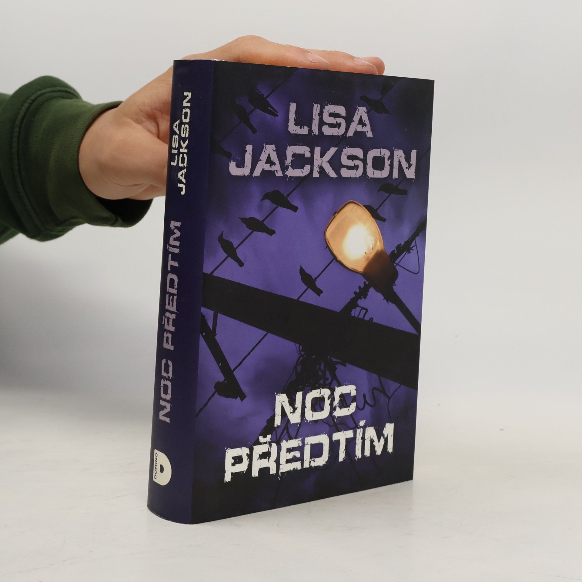 Lisa Jackson Noc předtím