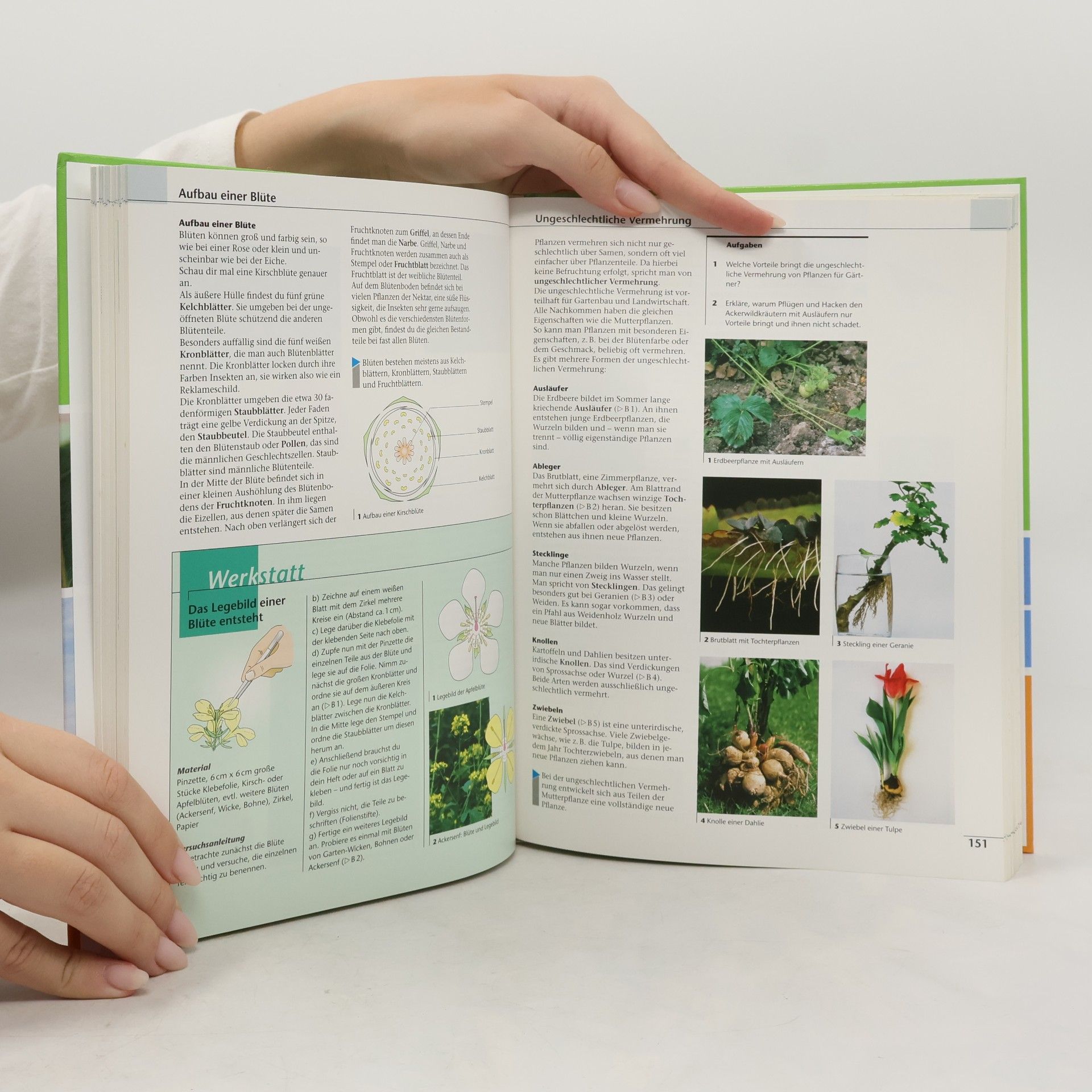 kolektiv Prisma Naturwissenschaft