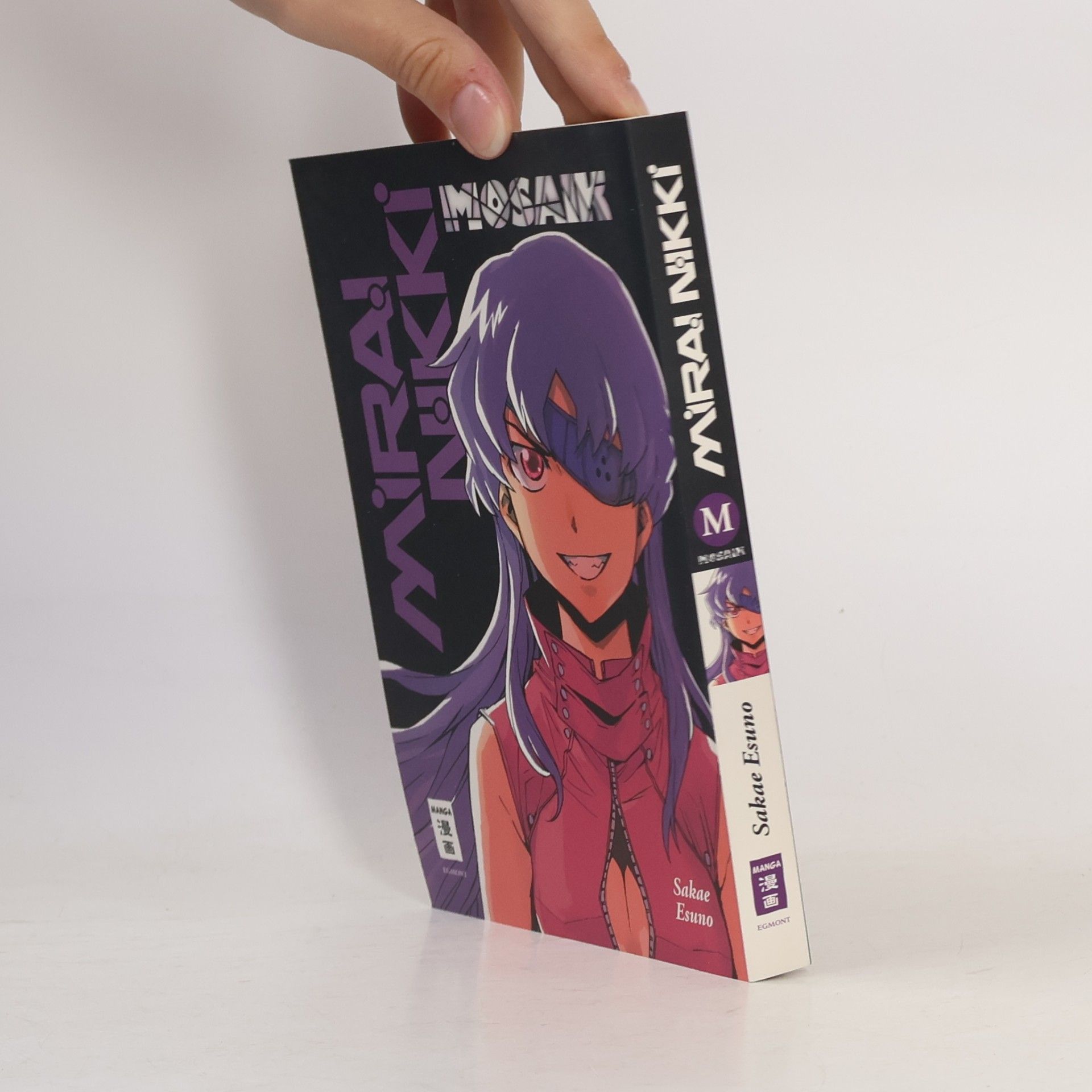 Sakkae Esuno Mirai Nikki. Mosaic