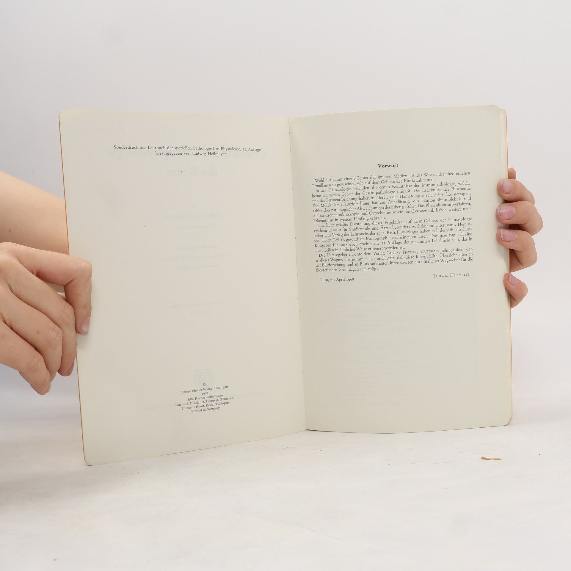 Ludwig Heilmeyer Grundriß der Pathophysiologie des Blutes