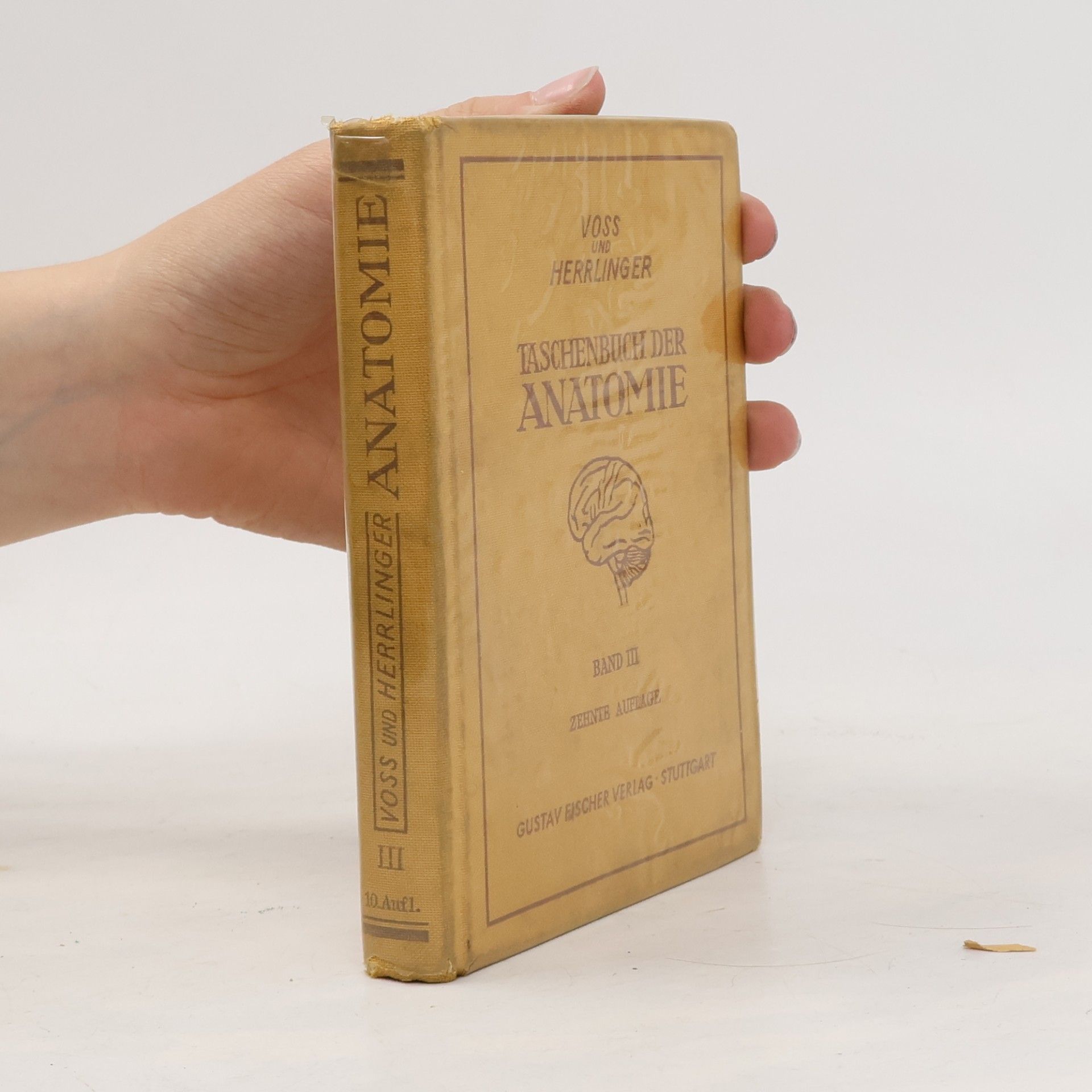Taschenbuch der Anatomie – Band III