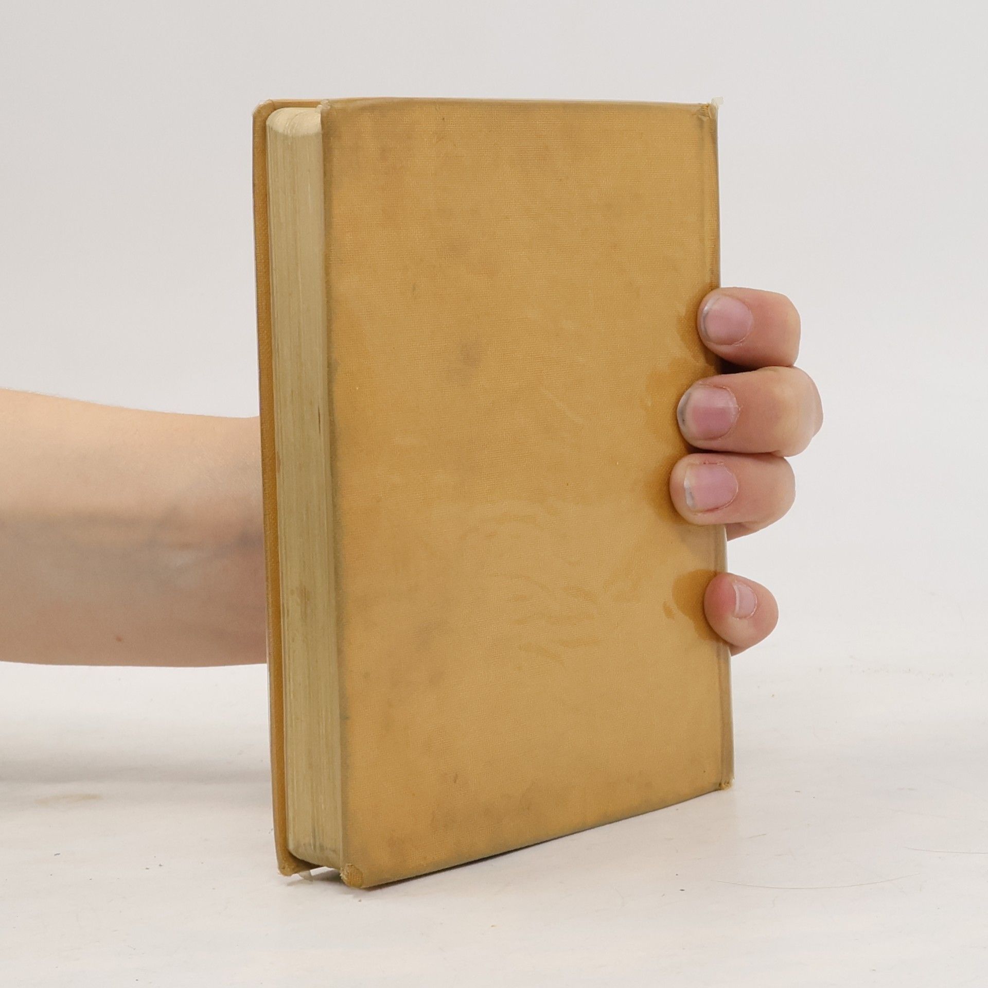 Hermann Voss Taschenbuch der Anatomie – Band III