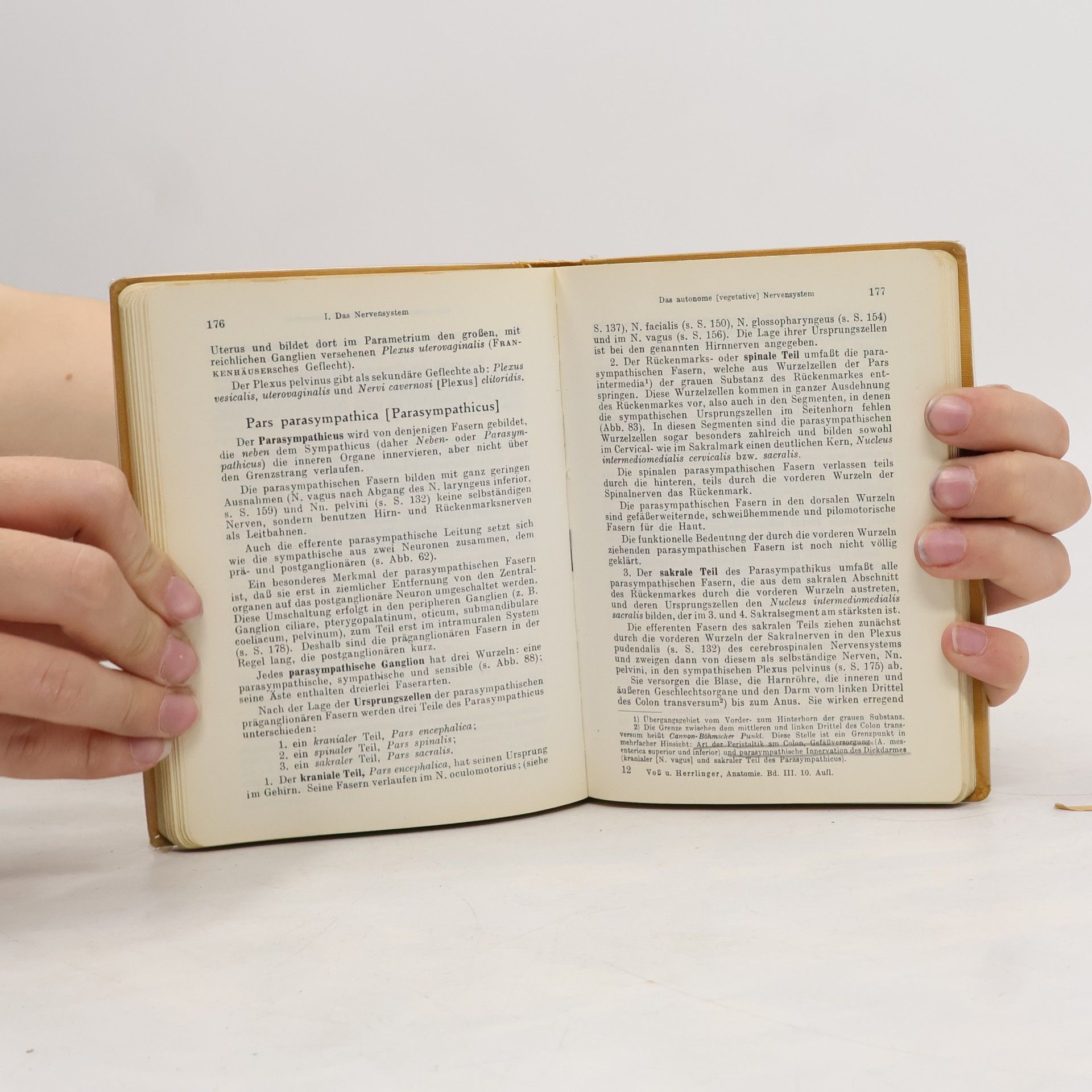 Hermann Voss Taschenbuch der Anatomie – Band III
