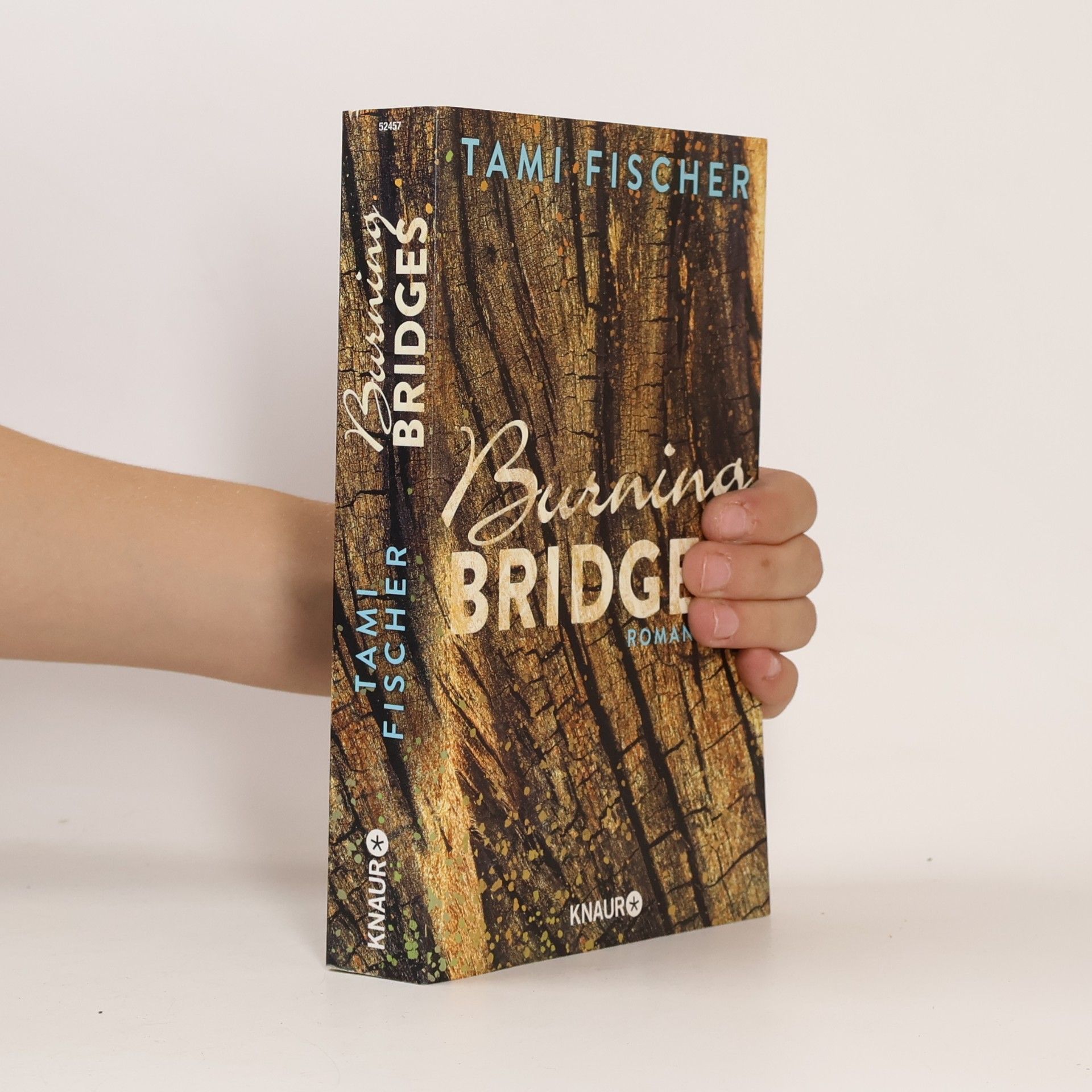 Tami Fischer Burning bridges