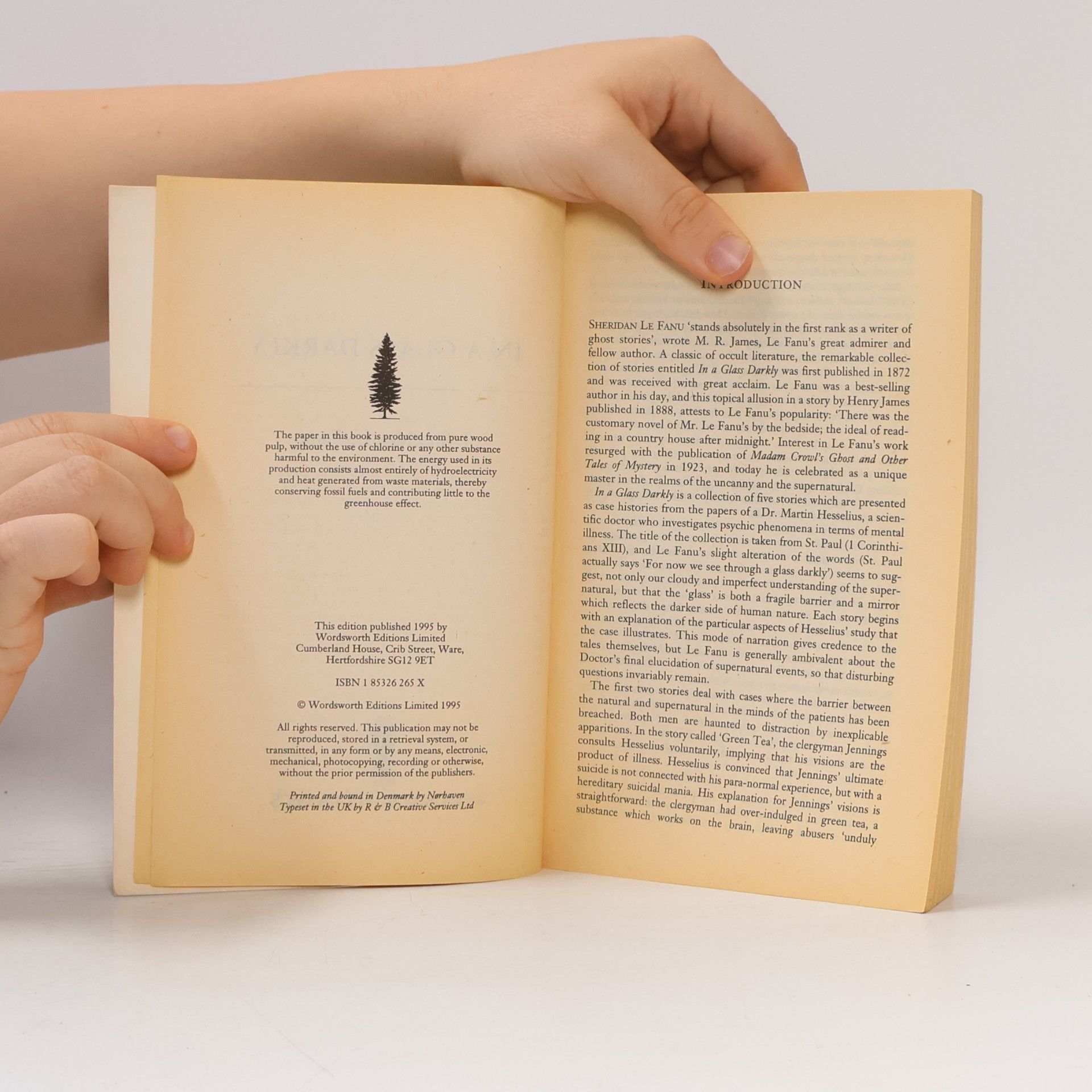 Joseph Sheridan Le Fanu In a Glass Darkly