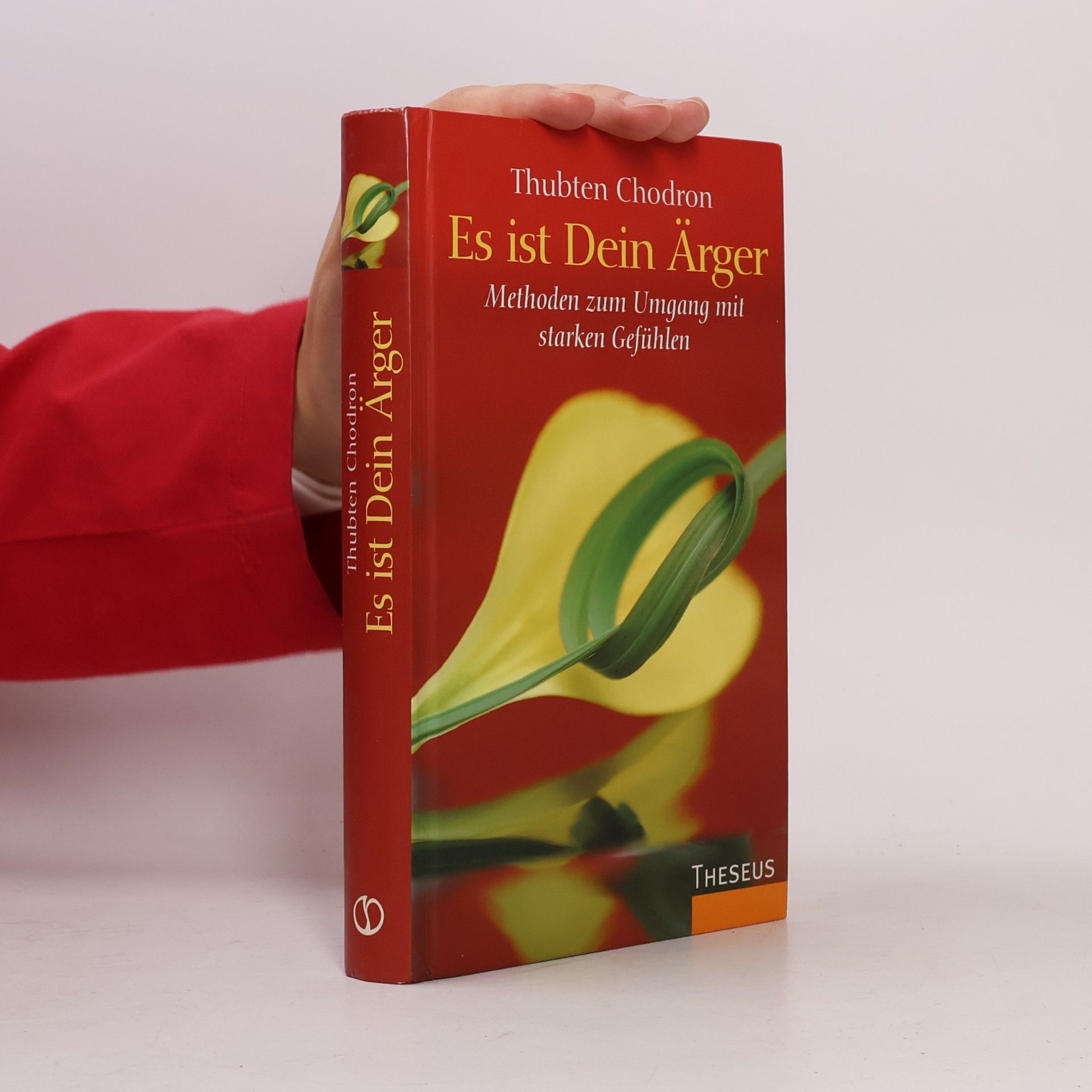 Thubten Chodron Es ist Dein Ärger