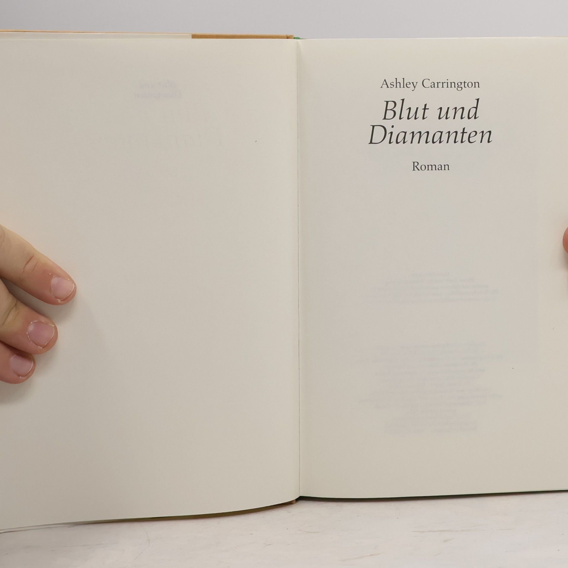 Rainer M. Schröder Blut und Diamanten