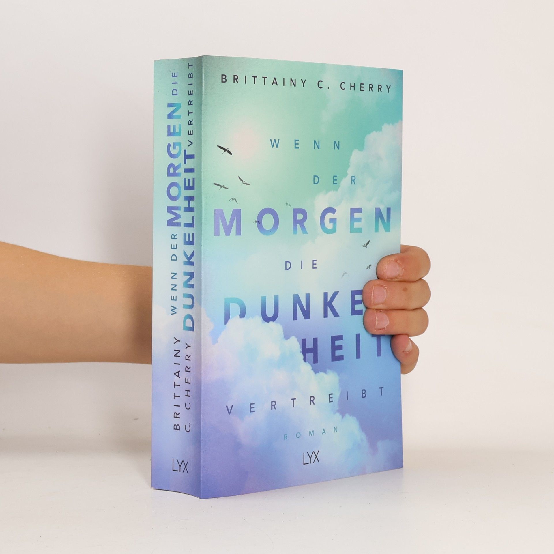 Brittainy C. Cherry Wenn der Morgen die Dunkelheit vertreibt