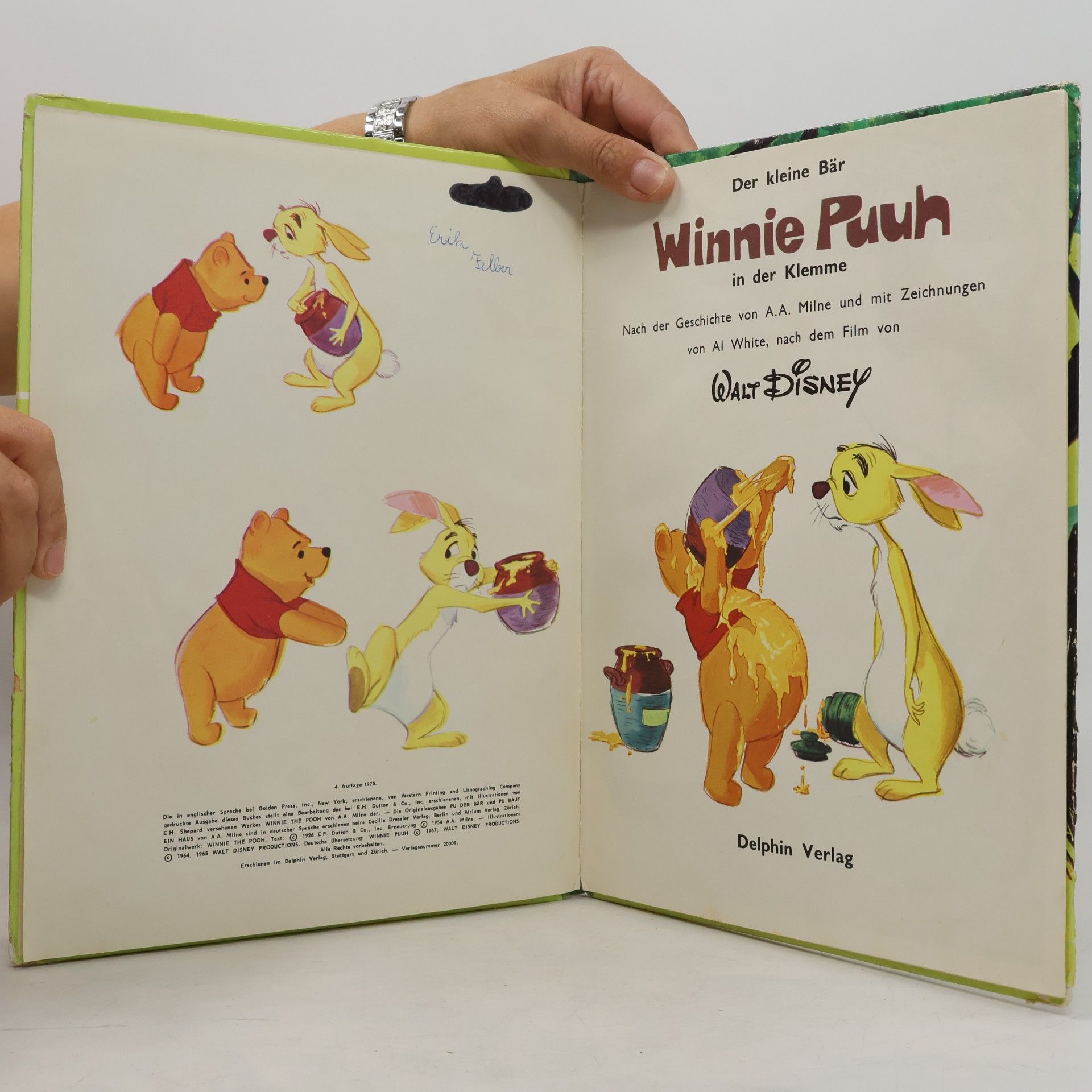 Walt Disney Der kleine Bär Winnie Puuh in der Klemme