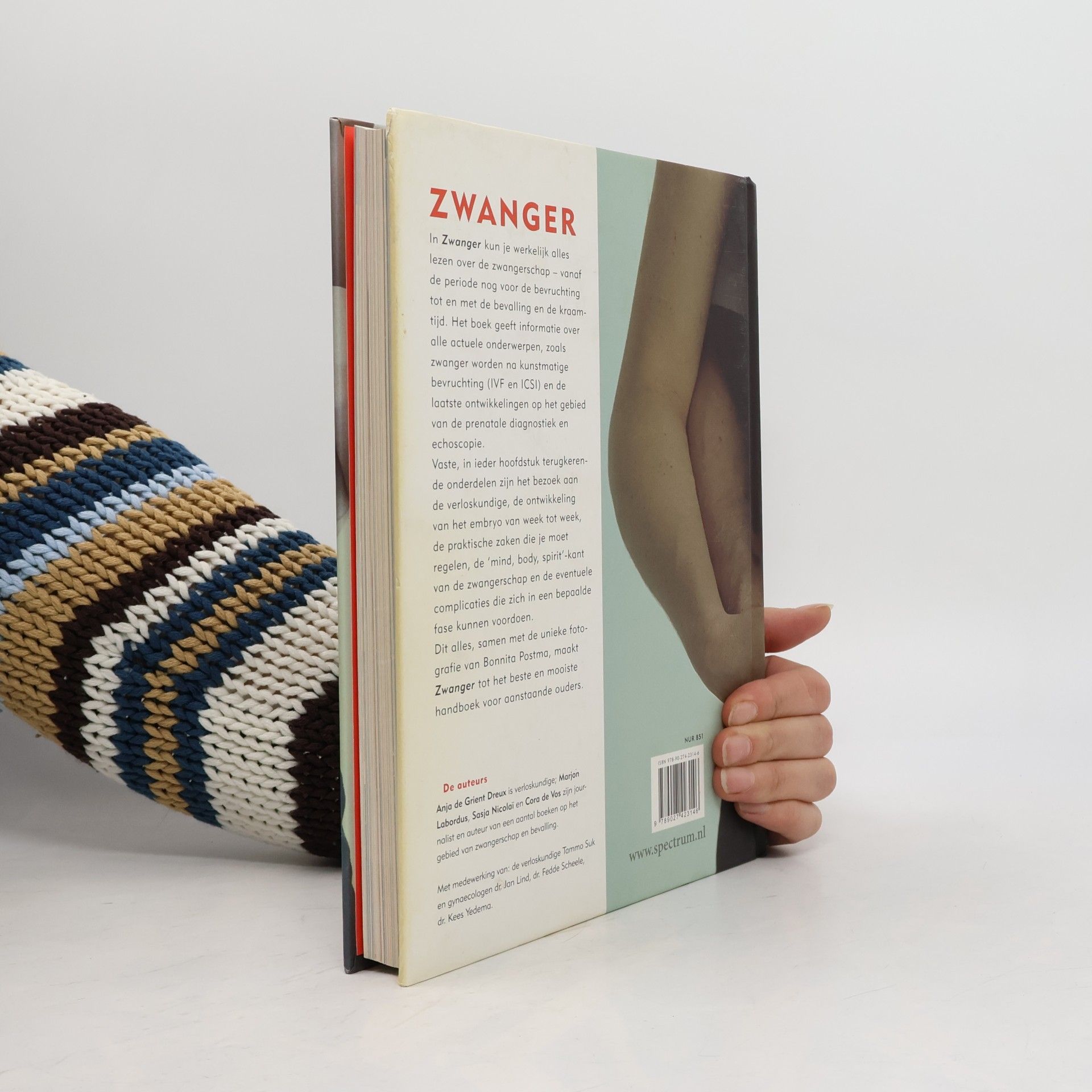 kolektiv Zwanger
