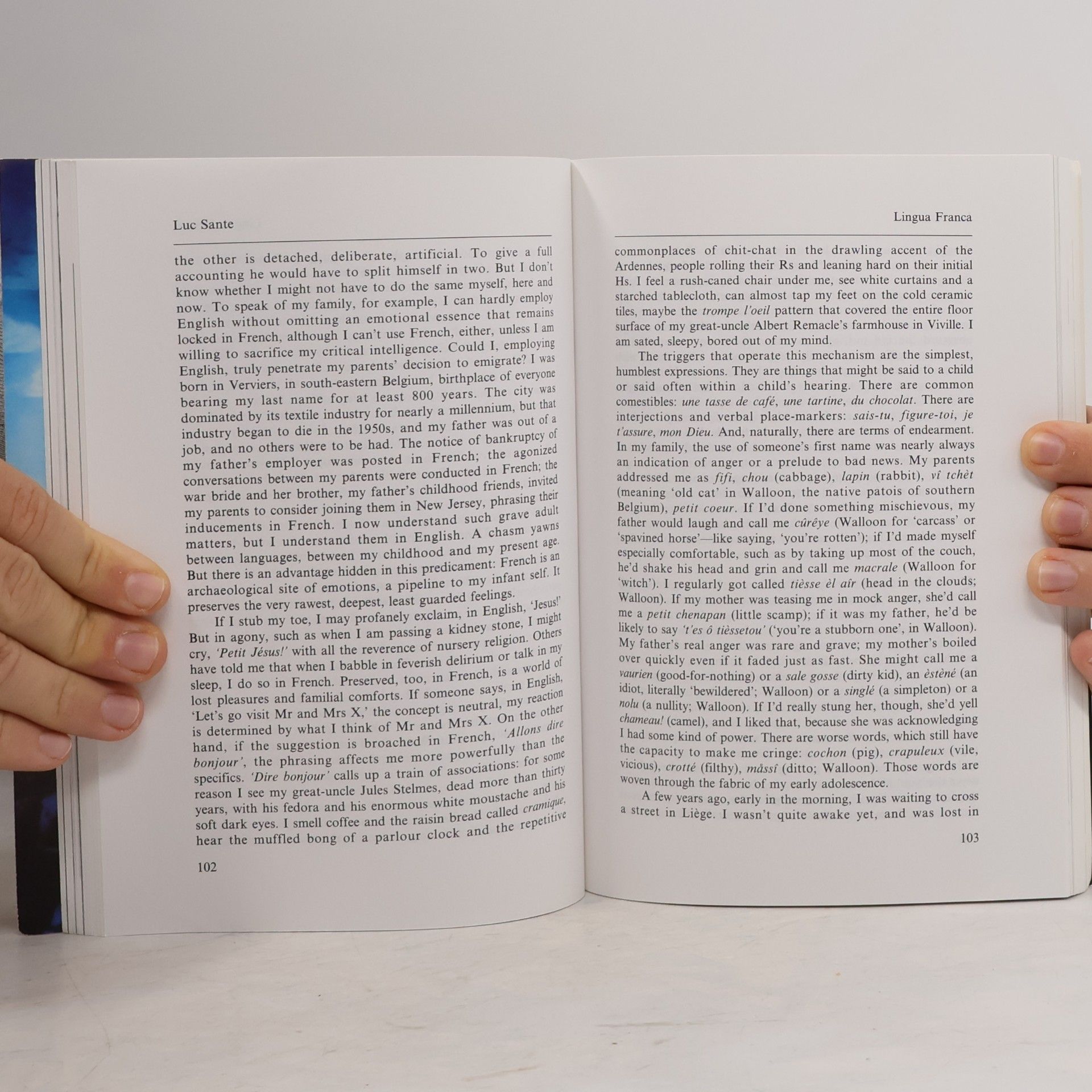 Ian Jack Granta - 59: France the Outsider