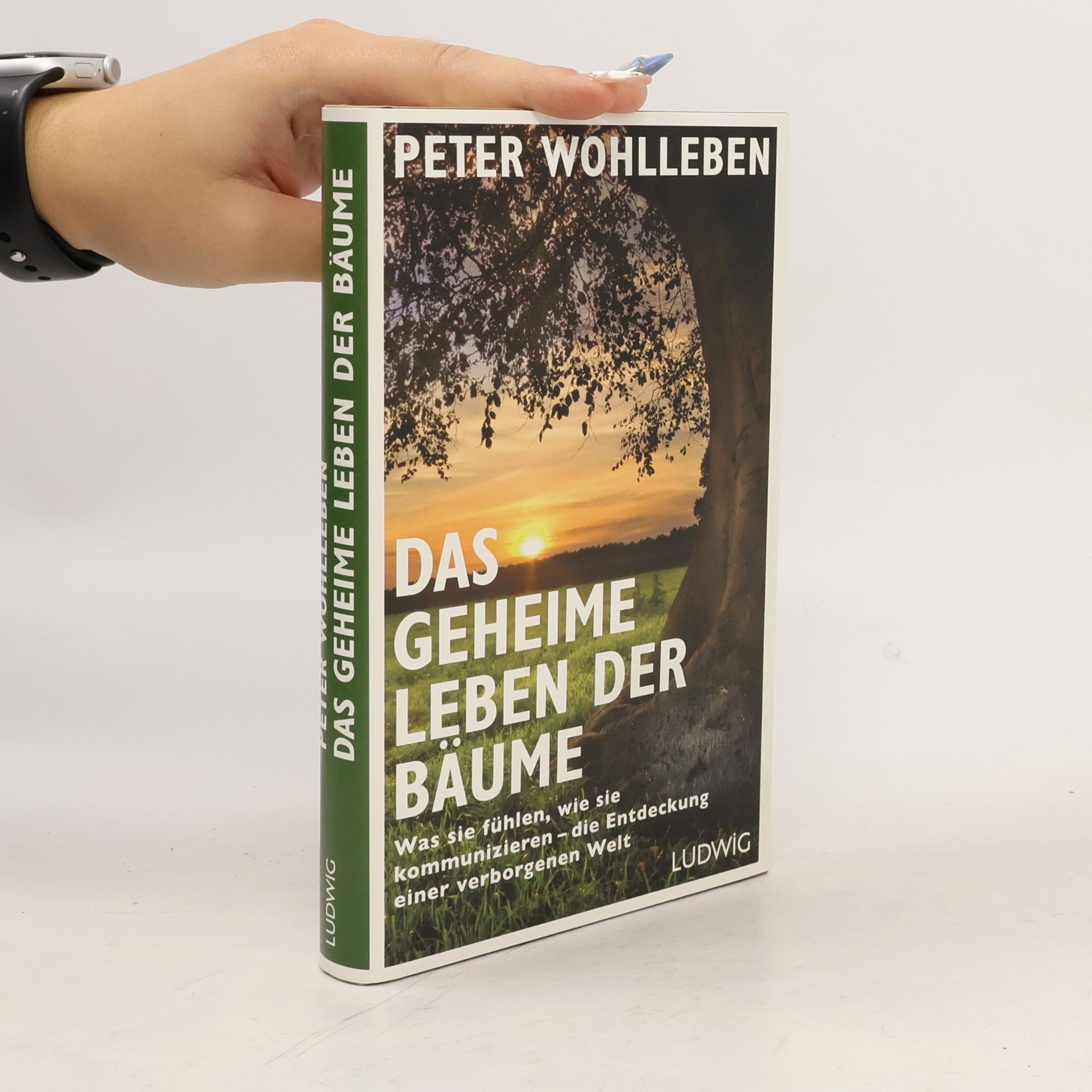 Peter Wohlleben Das geheime Leben der Bäume