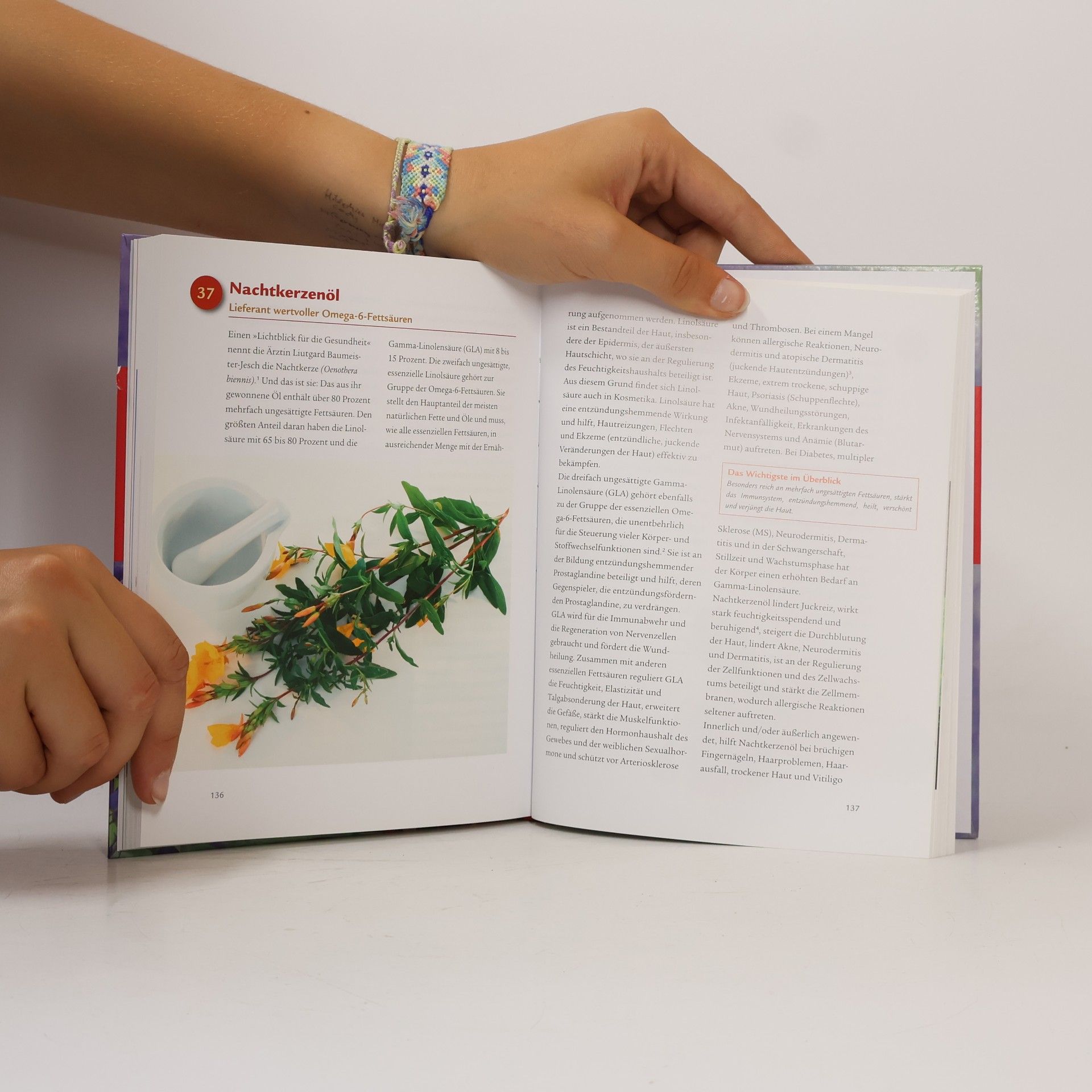 Brigitte Hamann Die 50 besten Superfoods