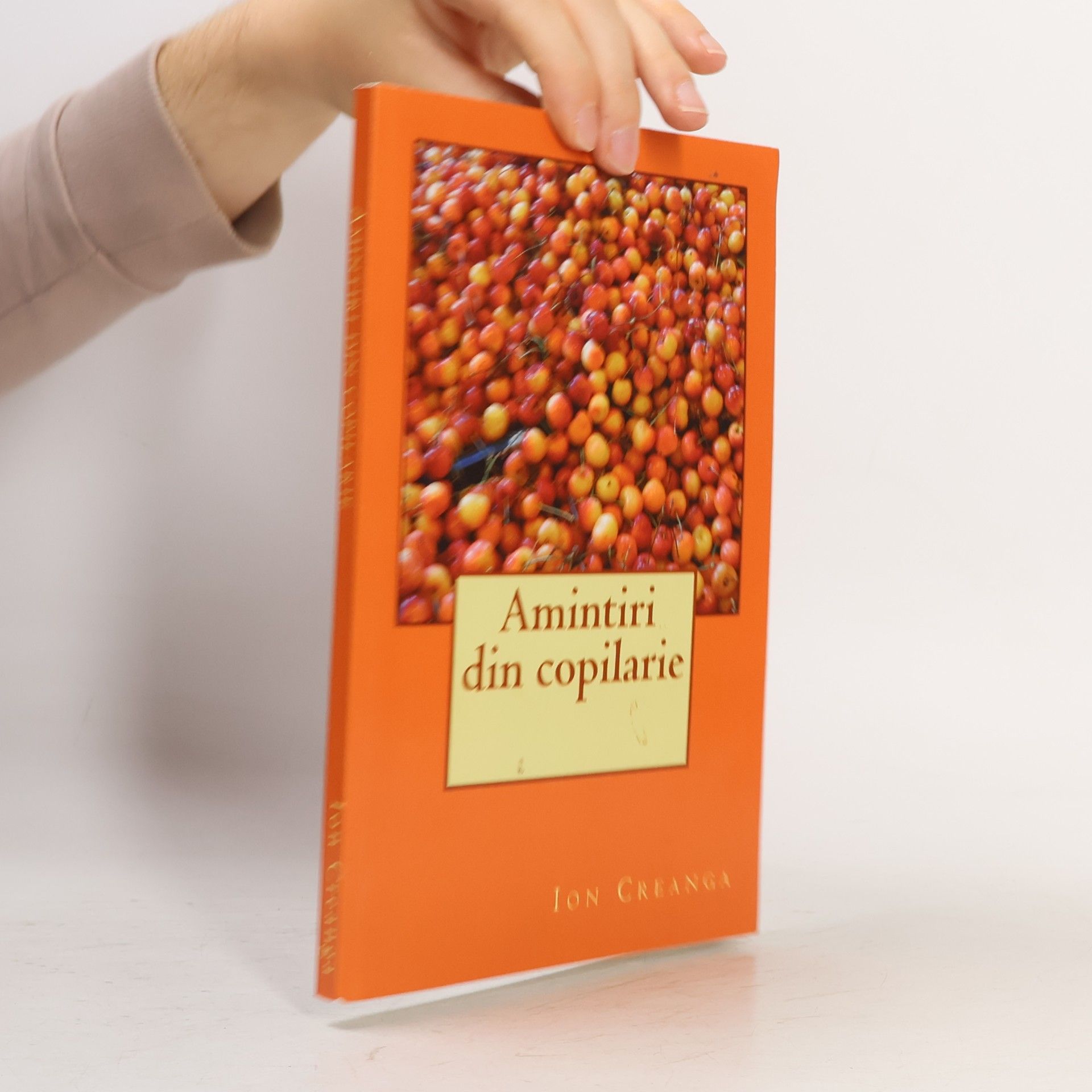 Ion Creangă Amintiri din copilărie