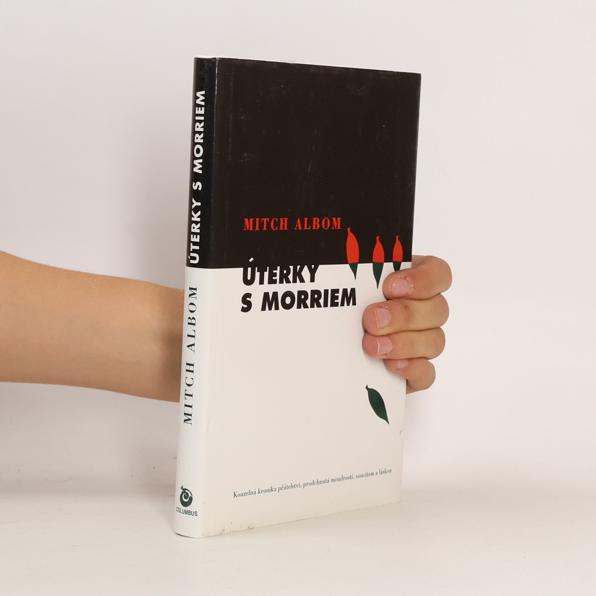 Mitch Albom Úterky s Morriem