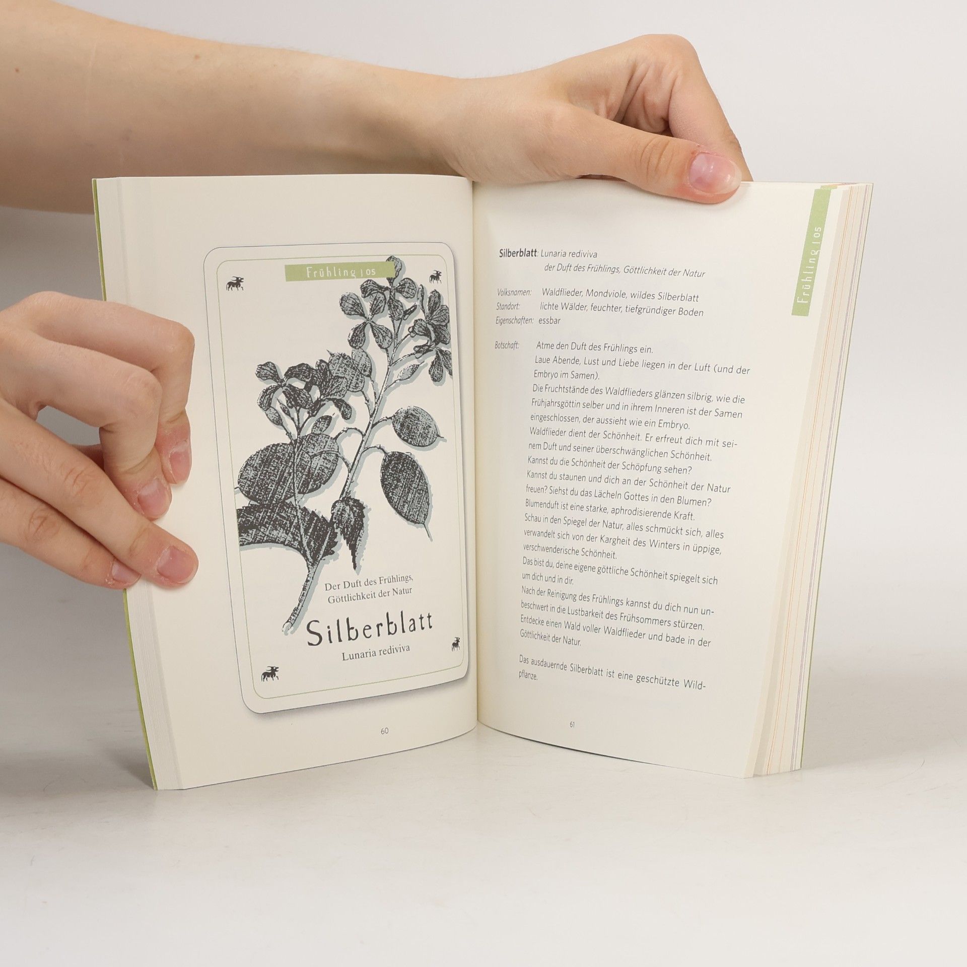 Katharina Waibel Wildes Weiber Wissen