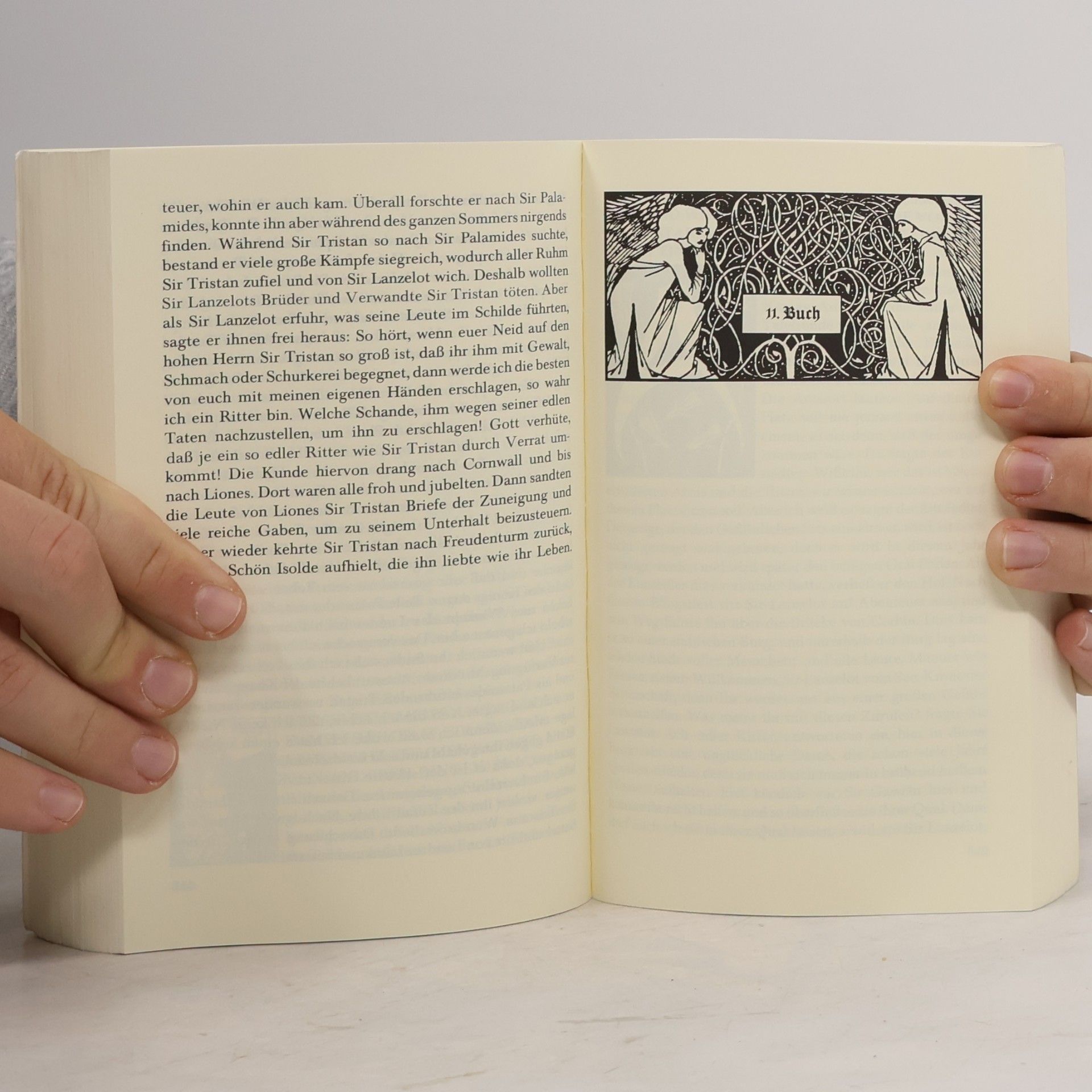 Thomas Malory Die Geschichten von König Artus und den Rittern seiner Tafelrunde