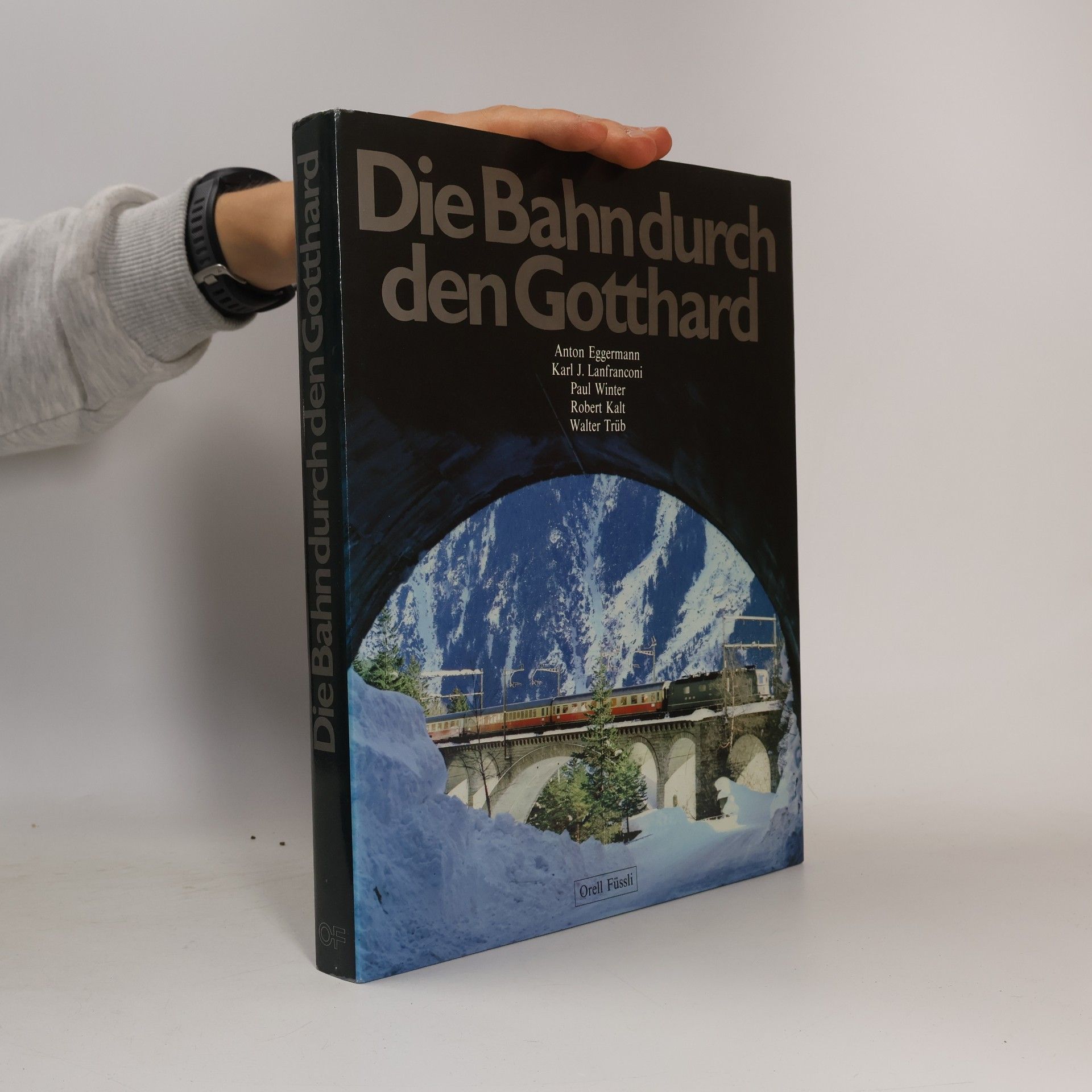 Die Bahn durch den Gotthard