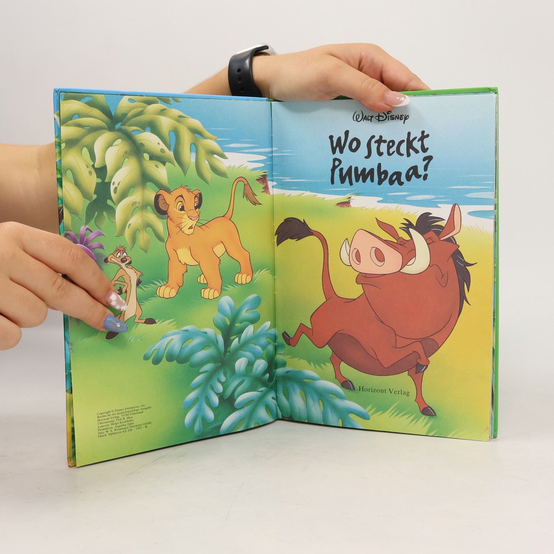 kolektiv Wo steckt Pumbaa?