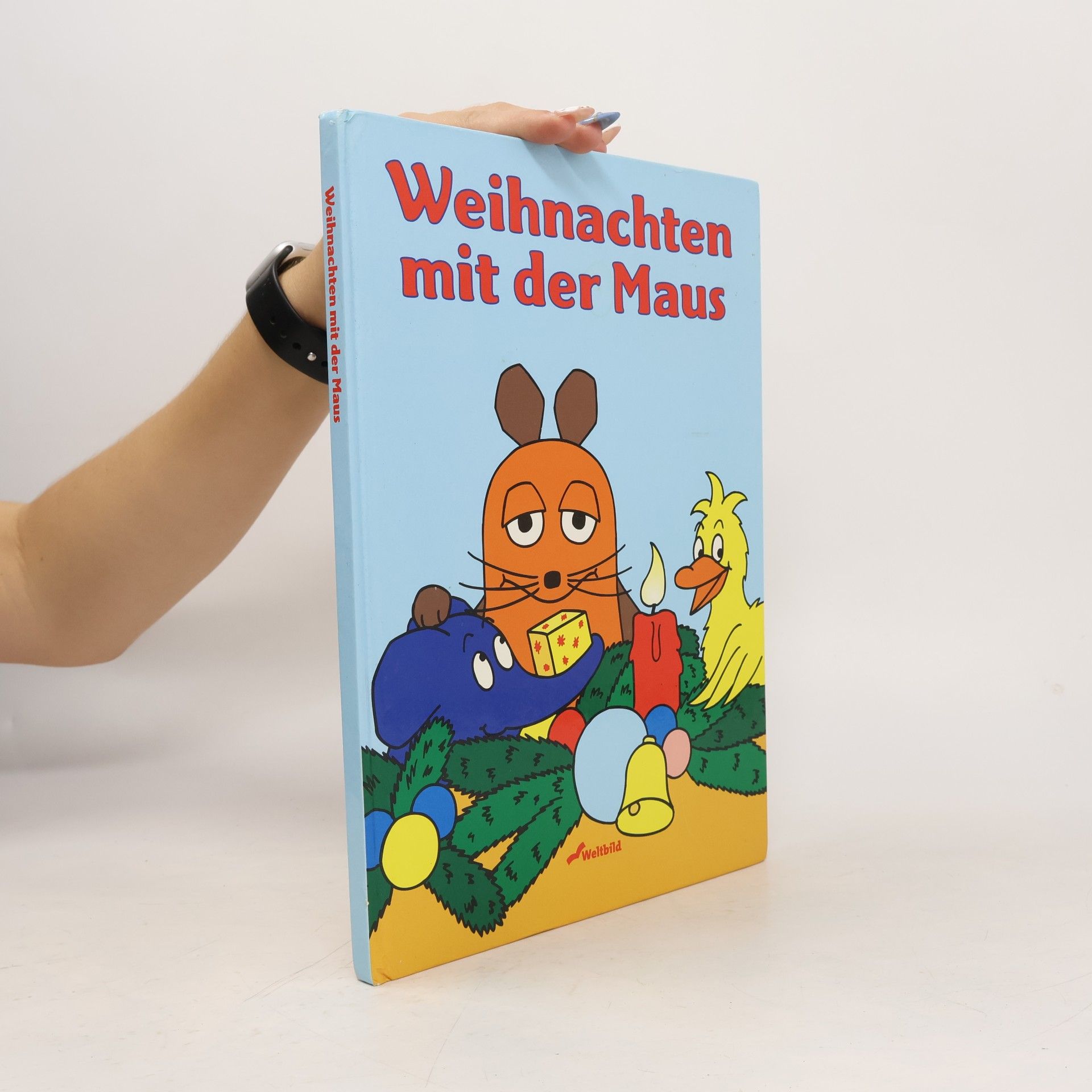 Anneli Kinzel Weihnachten mit der Maus