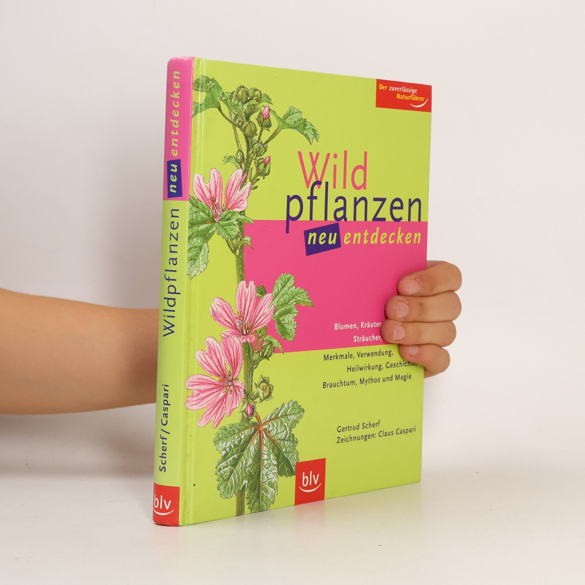 Wildpflanzen neu entdecken