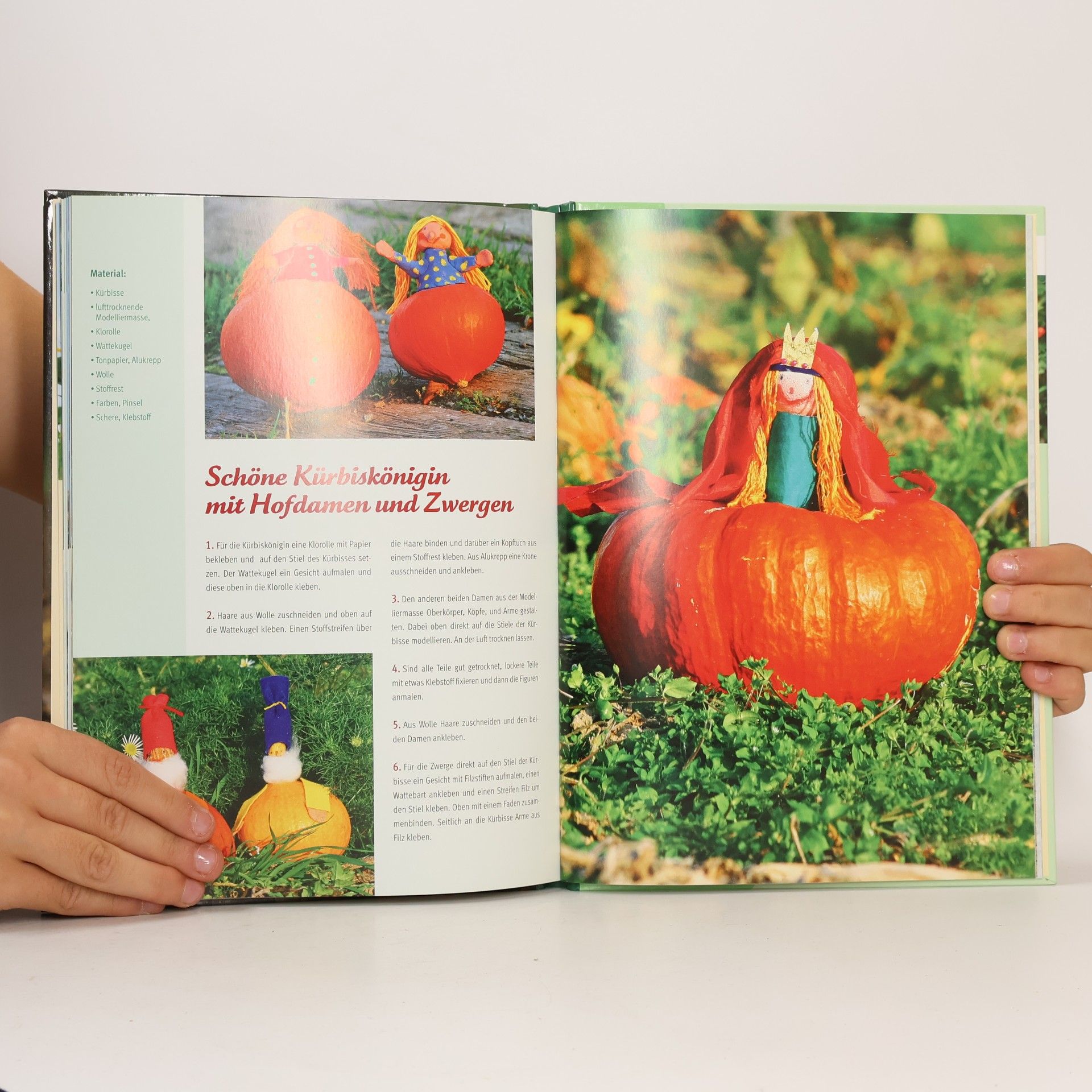 Sabine Lohf Das große Naturmaterial-Bastelbuch