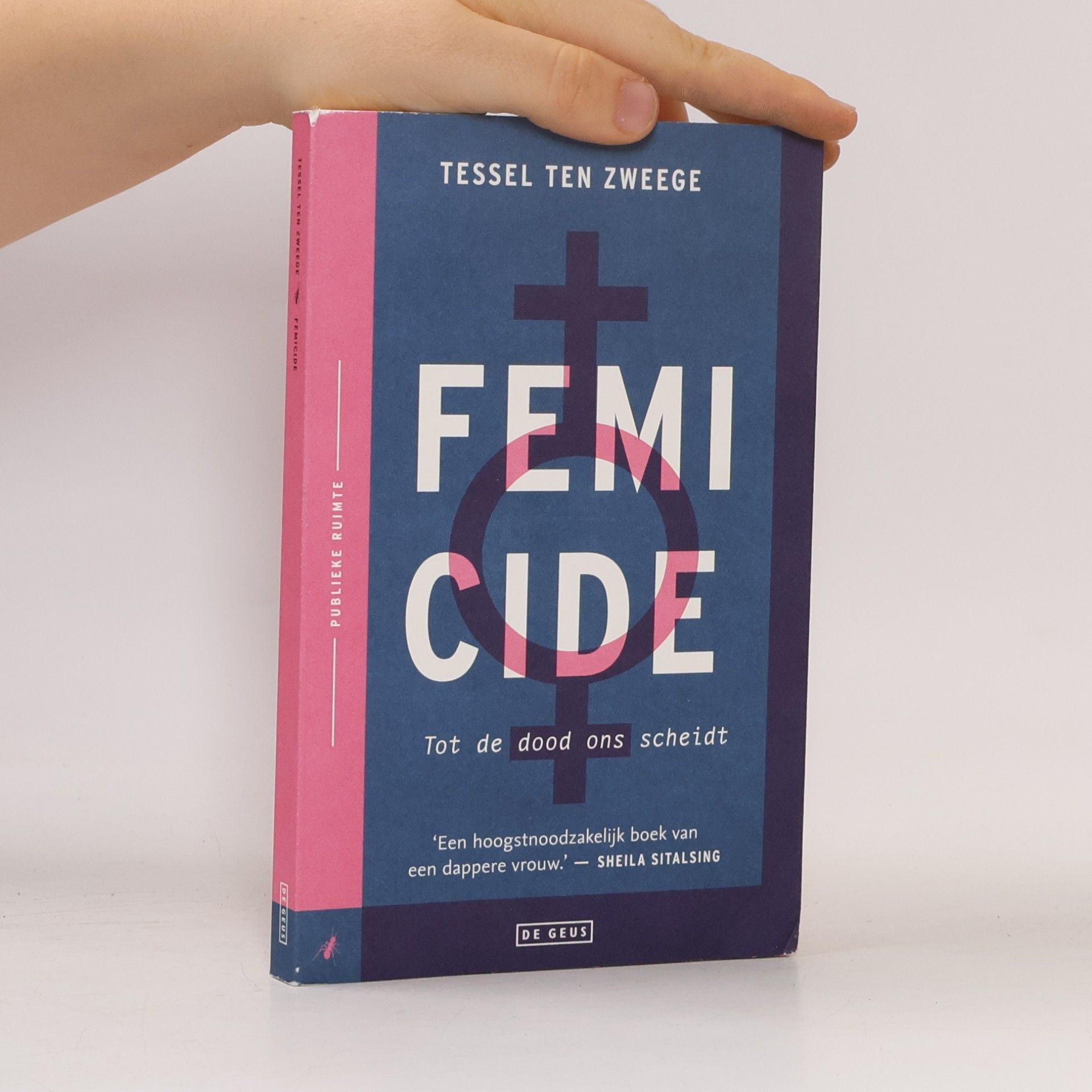Tessel Ten Zweege Publieke Ruimte: Femicide